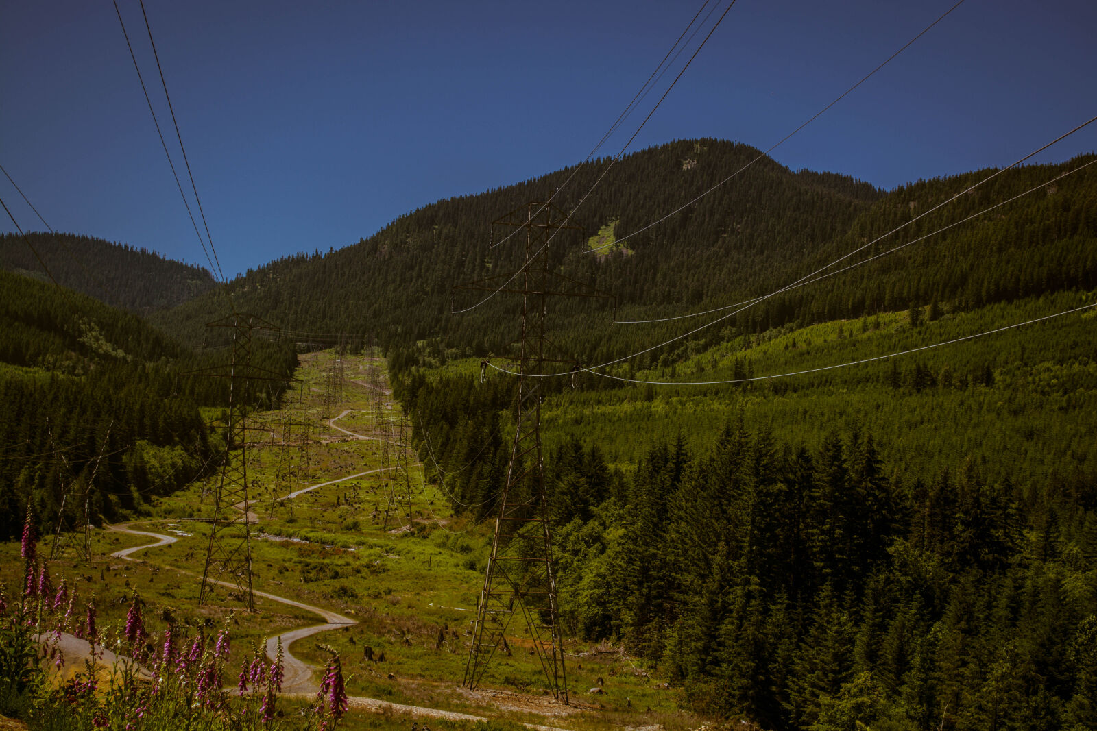 Nikon D5200 sample photo