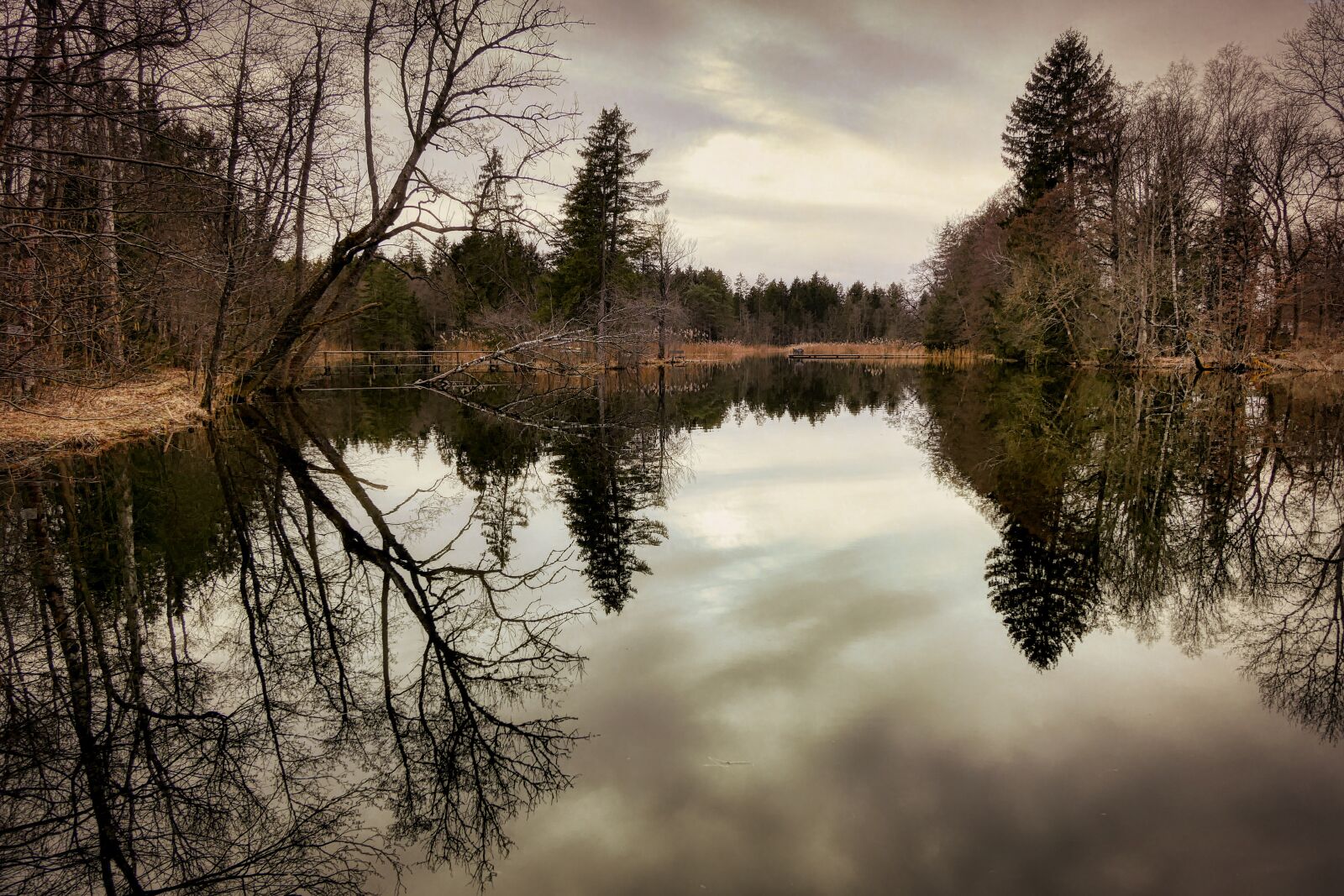 Panasonic Lumix DMC-GX8 sample photo. Pond, lake, water photography