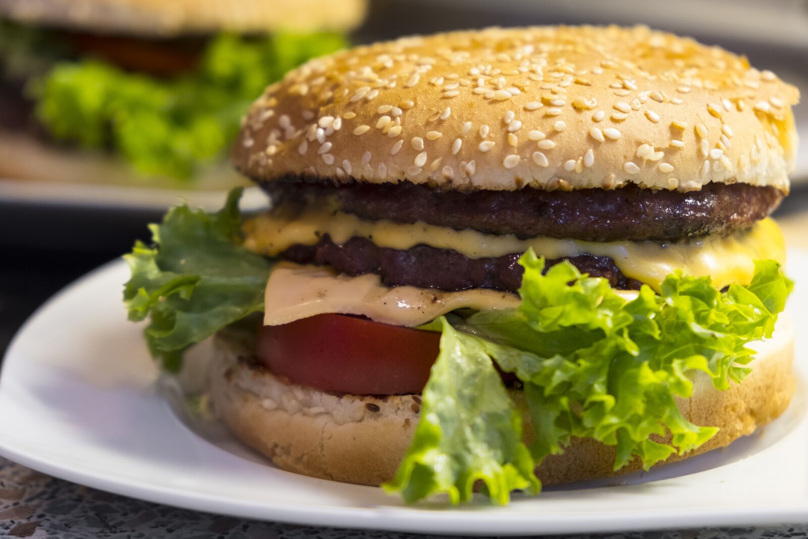 Fujifilm XF 18-55mm F2.8-4 R LM OIS sample photo. Burger, hamburger, cheeseburger photography