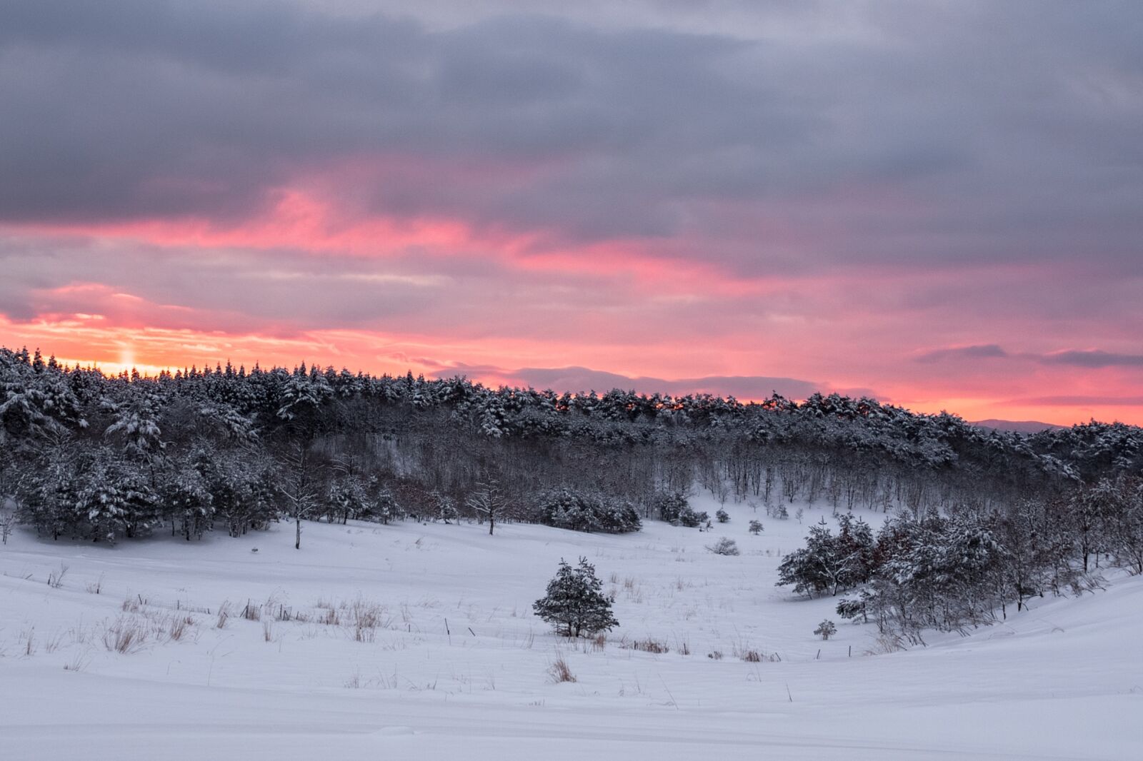 Fujifilm FinePix S5 Pro sample photo. Winter, morning glow, snow photography