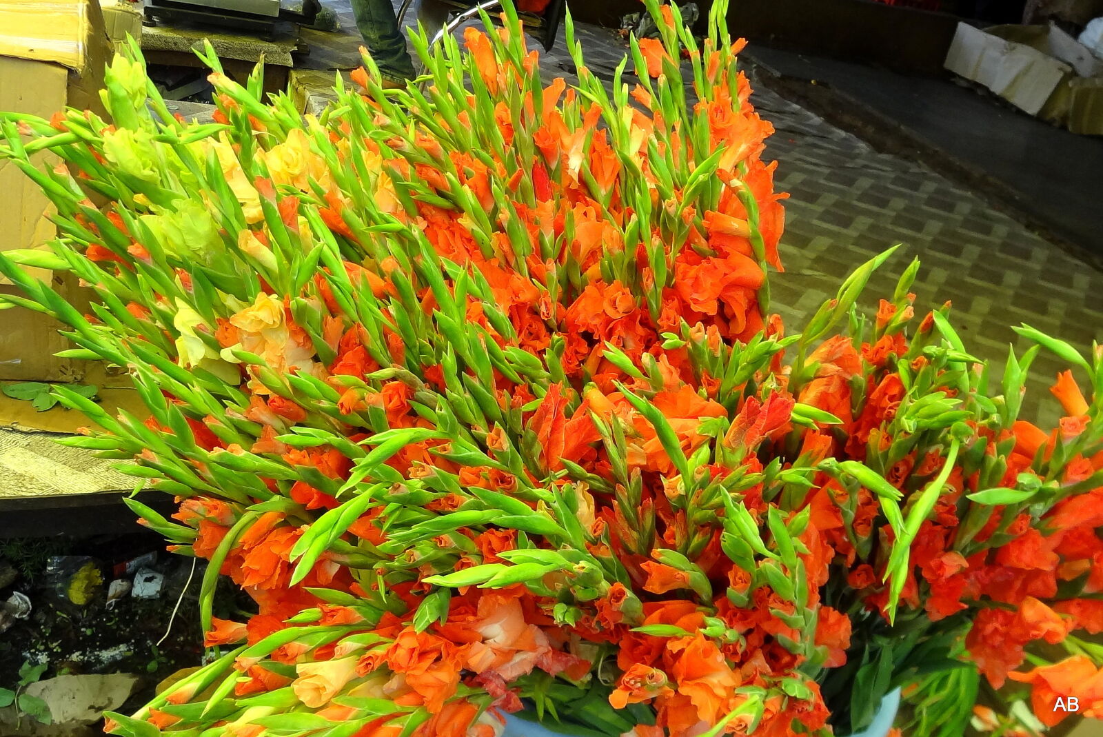 Sony Cyber-shot DSC-HX9V sample photo. Close, up, of, orange photography