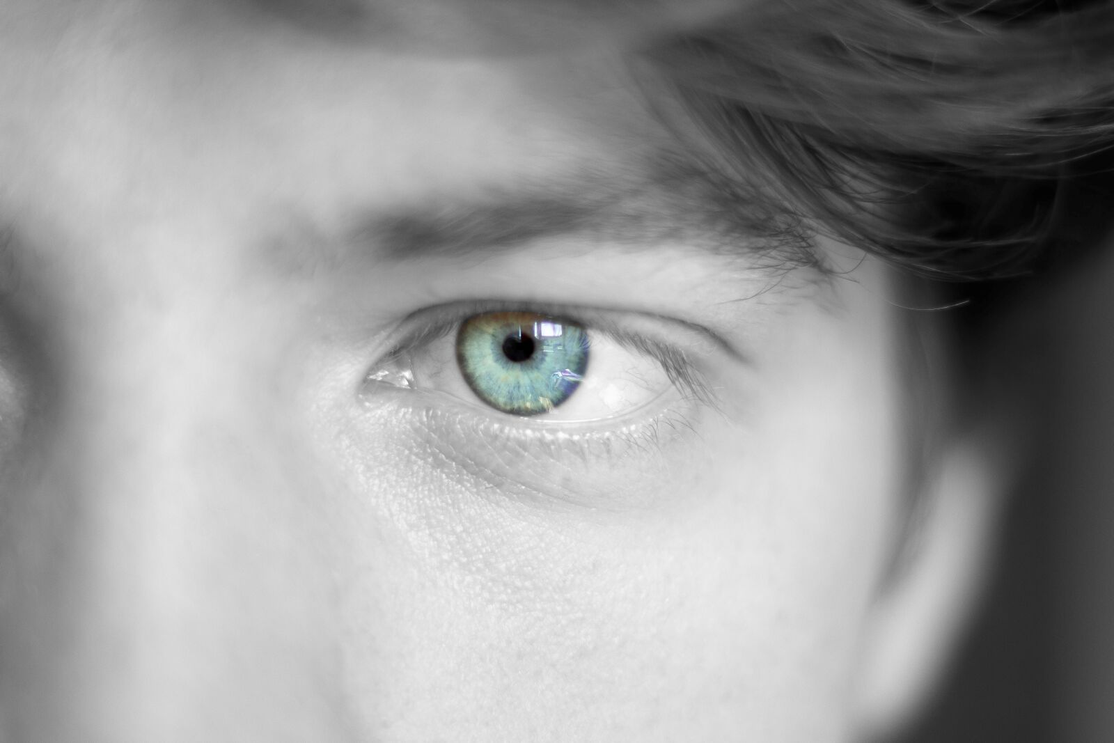 Canon EOS 700D (EOS Rebel T5i / EOS Kiss X7i) + Canon EF 50mm F1.8 STM sample photo. Eye, eye color, face photography