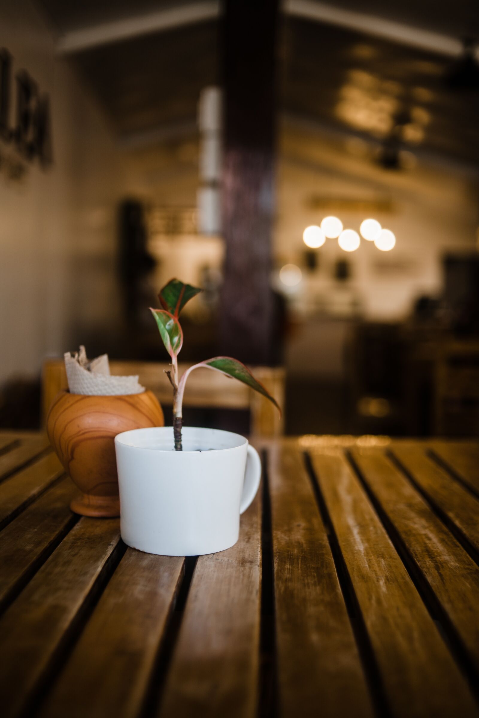 Canon EOS 5D sample photo. Table, brown, cup photography