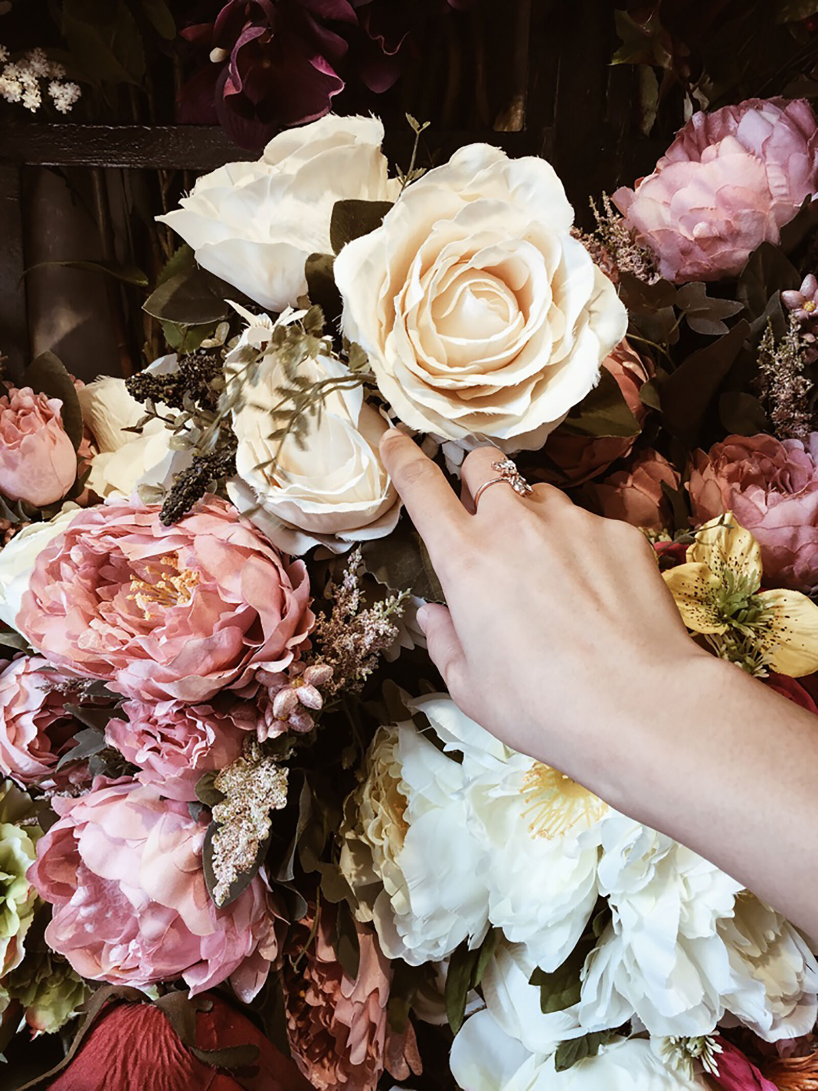 Apple iPhone 6 sample photo. Beautiful, beautiful, flowers, flower photography
