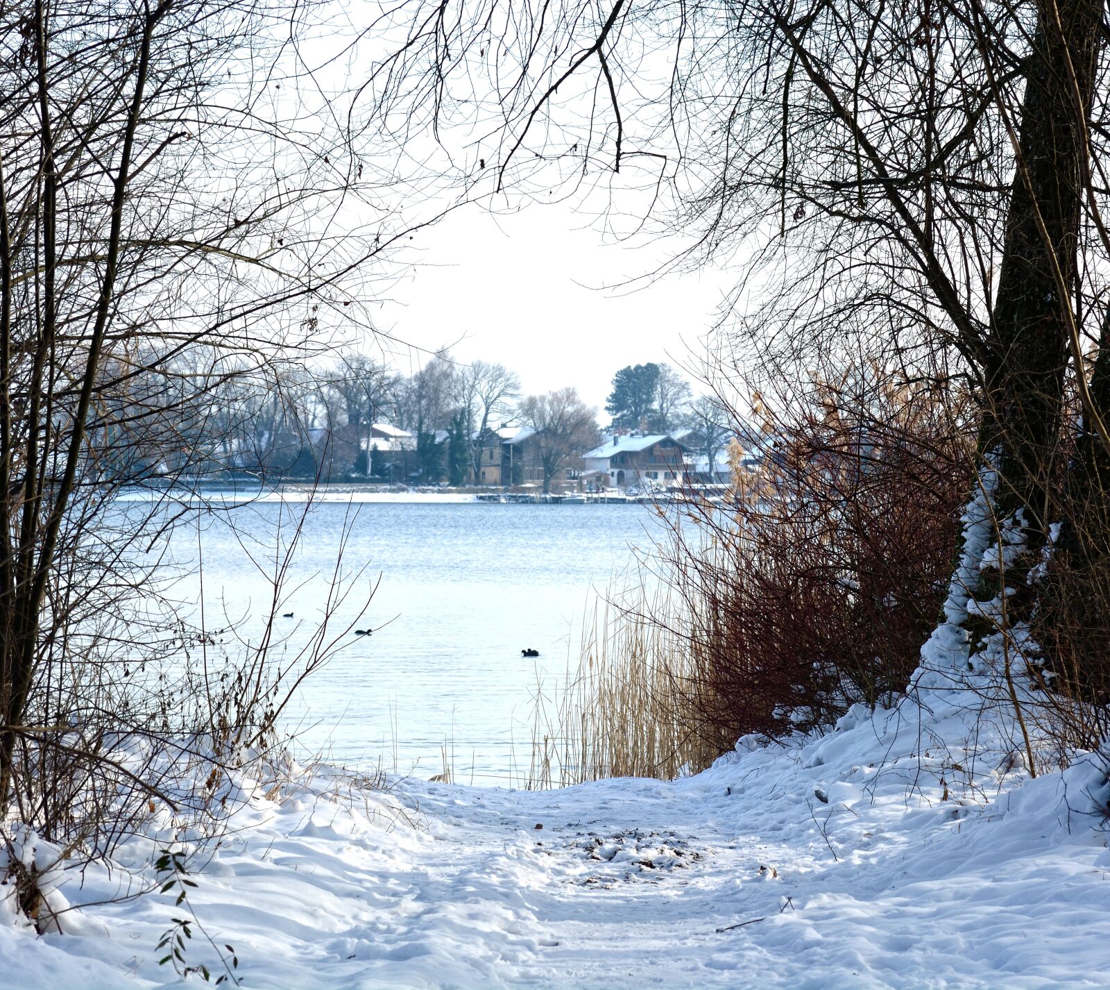 Nikon D7100 sample photo. Winter, snow, lake photography