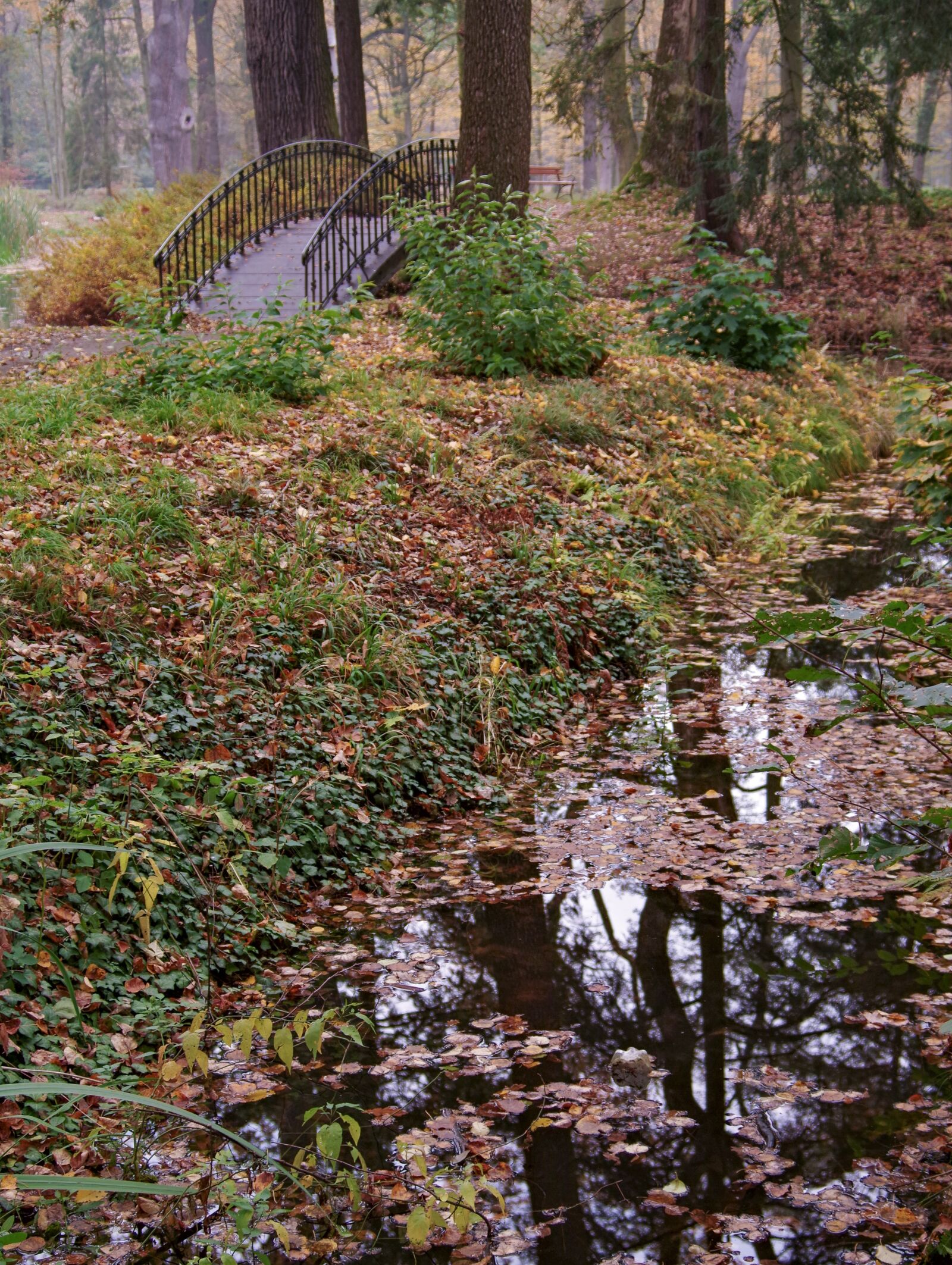 Pentax K-S2 sample photo. Park, water, romantic bridge photography
