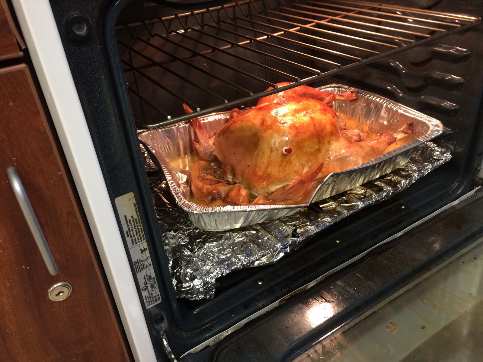 iPhone 5s back camera 4.15mm f/2.2 sample photo. Cooking, thanksgiving, oven photography