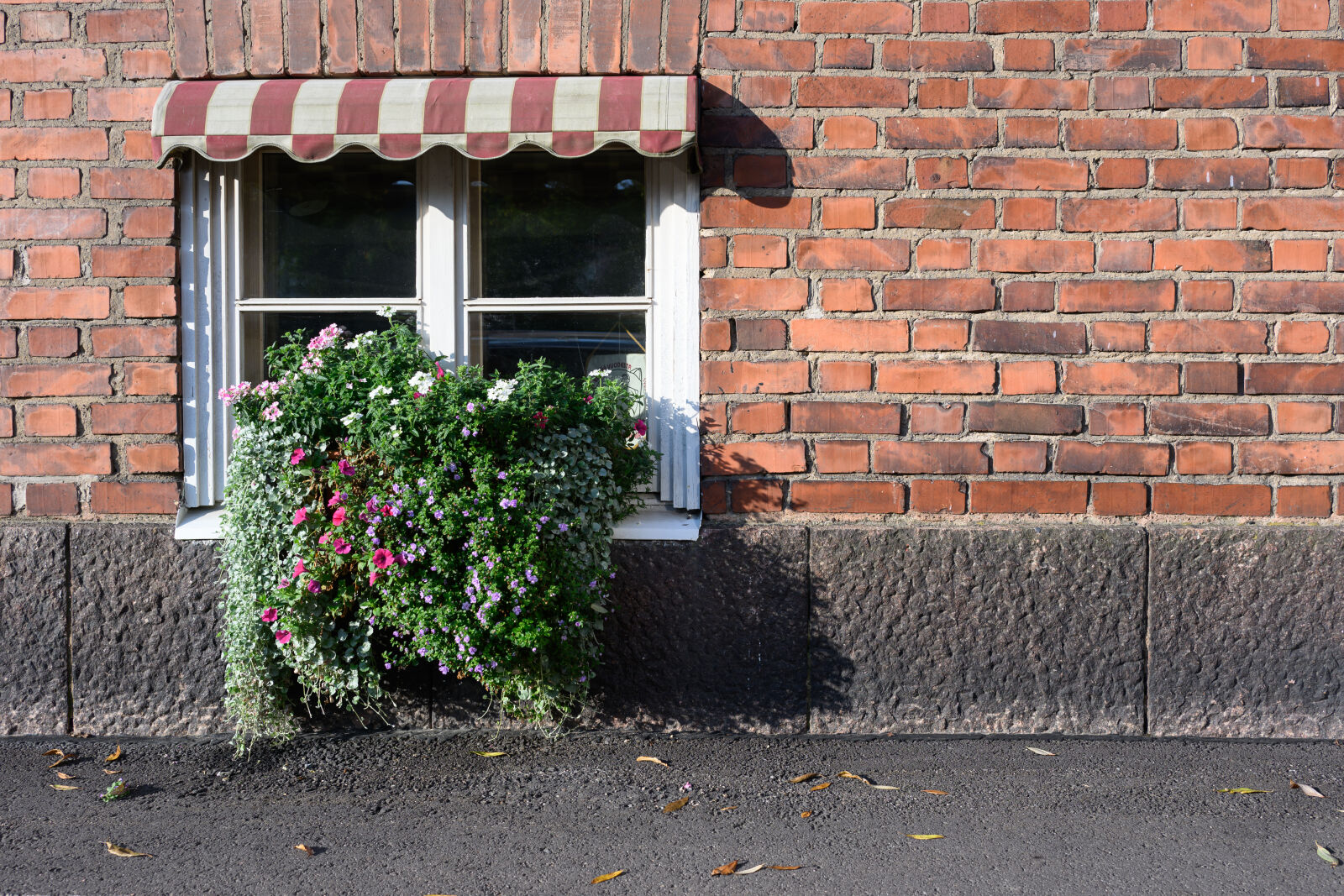 Nikon Z6 III sample photo. Street planting photography