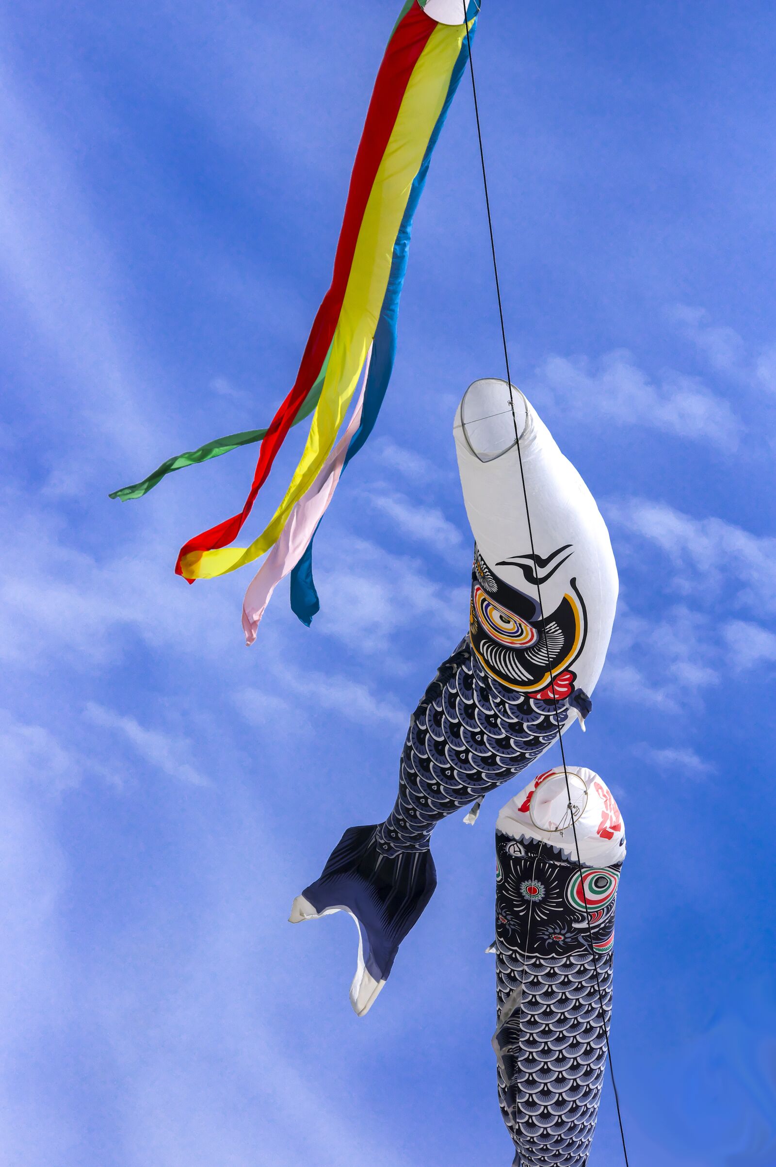 Pentax K-3 sample photo. Carp streamer, streamers, may photography