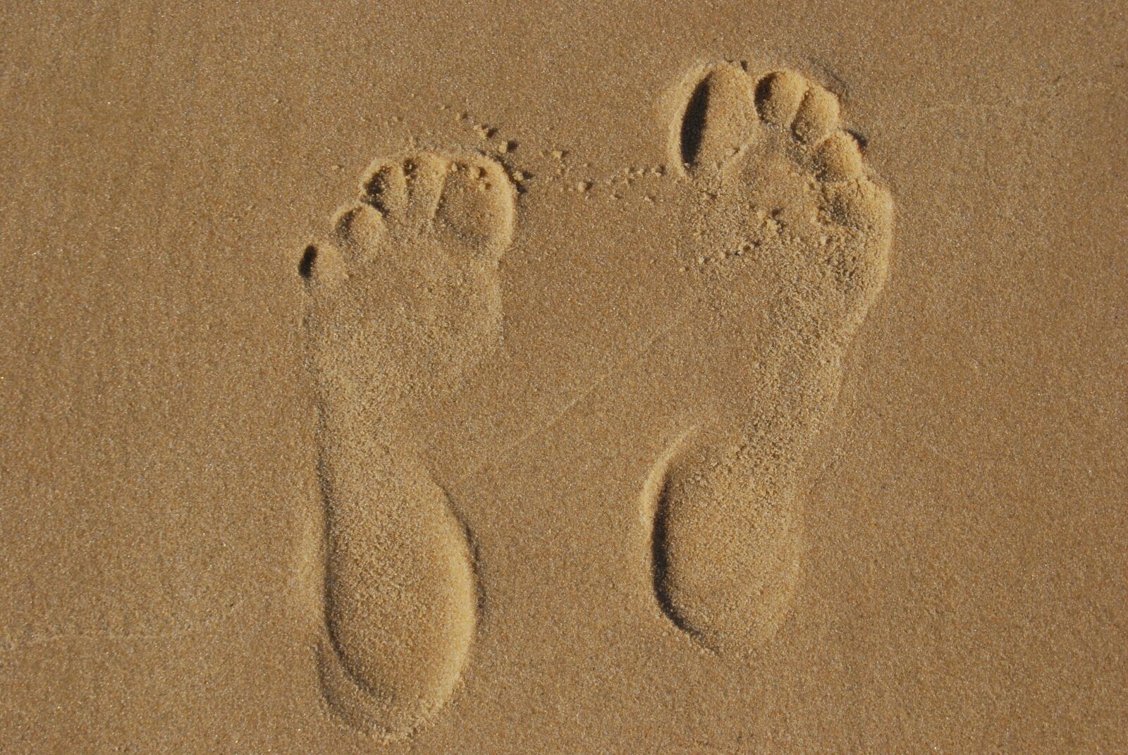 Nikon D60 sample photo. Sand, footprint, tracks in photography