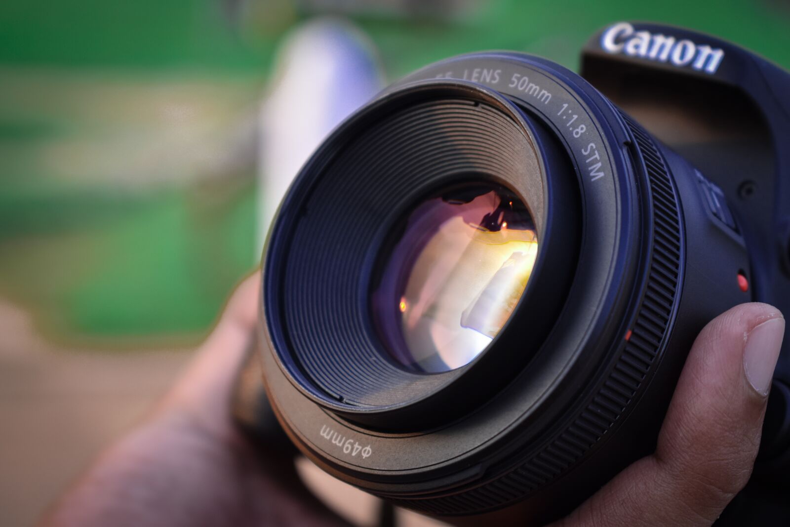 Nikon D5600 sample photo. Camera, 50mm, lens photography