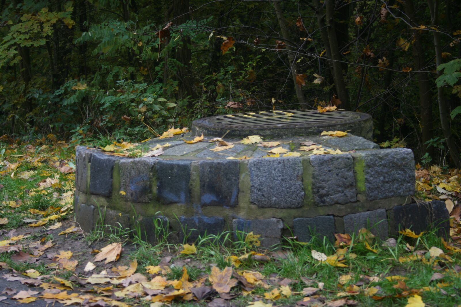 Canon EOS 350D (EOS Digital Rebel XT / EOS Kiss Digital N) sample photo. Leaves, fountain, autumn photography