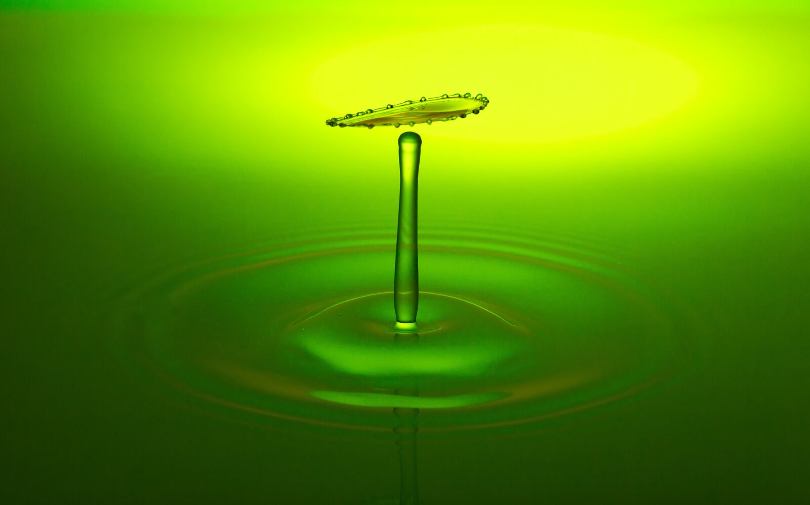 Canon EOS 700D (EOS Rebel T5i / EOS Kiss X7i) sample photo. Water, drip, drop of photography