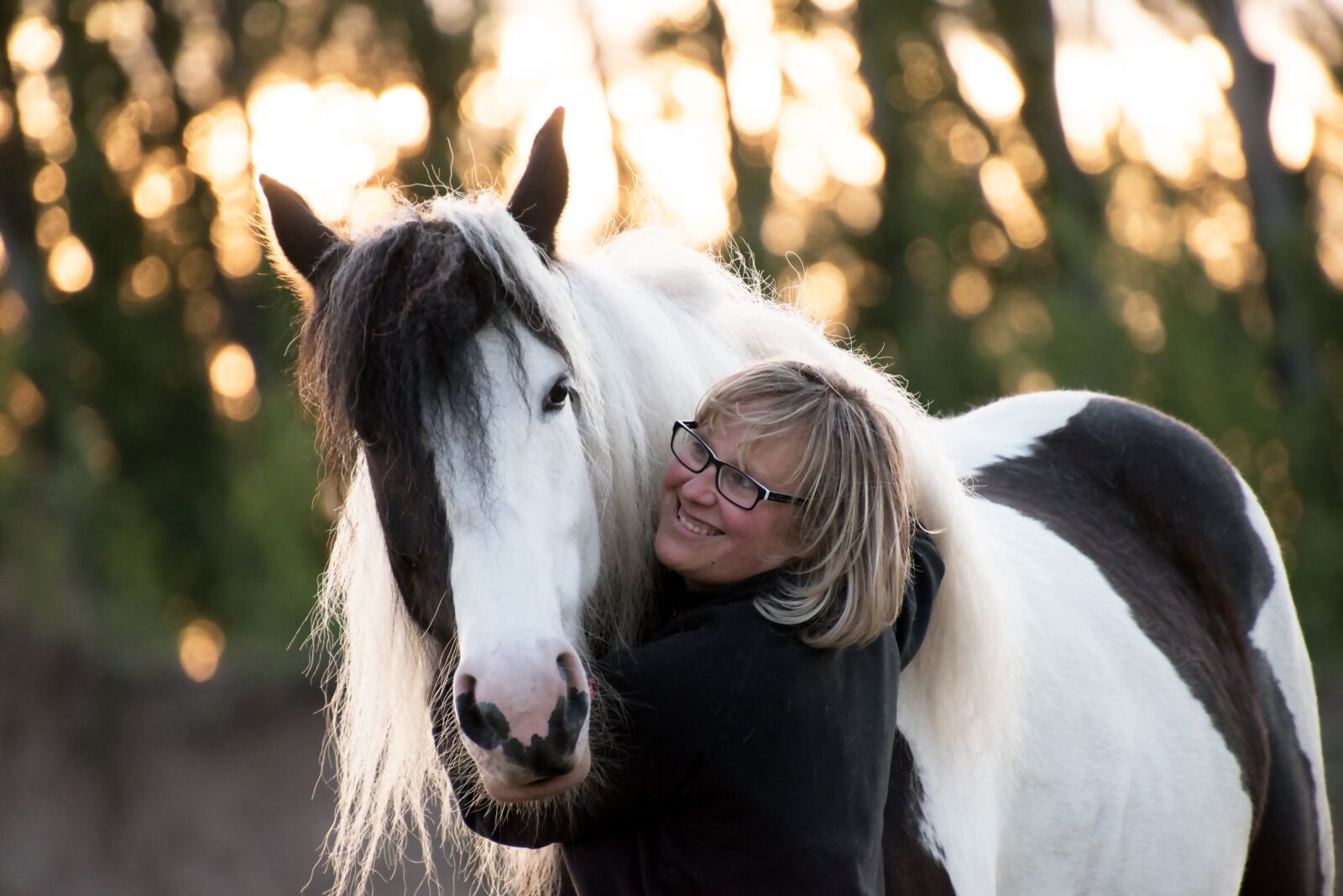 Nikon D5600 sample photo. Horse, tinker, animal photography