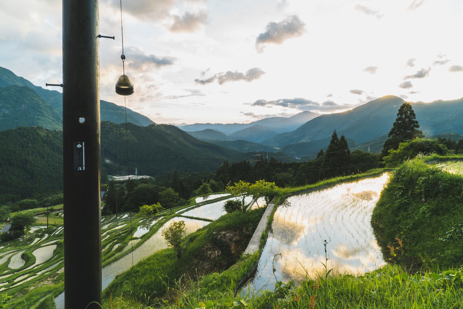 Sony a7S II + Sony Vario Tessar T* FE 24-70mm F4 ZA OSS sample photo. Maruyama, senmaida, japan photography