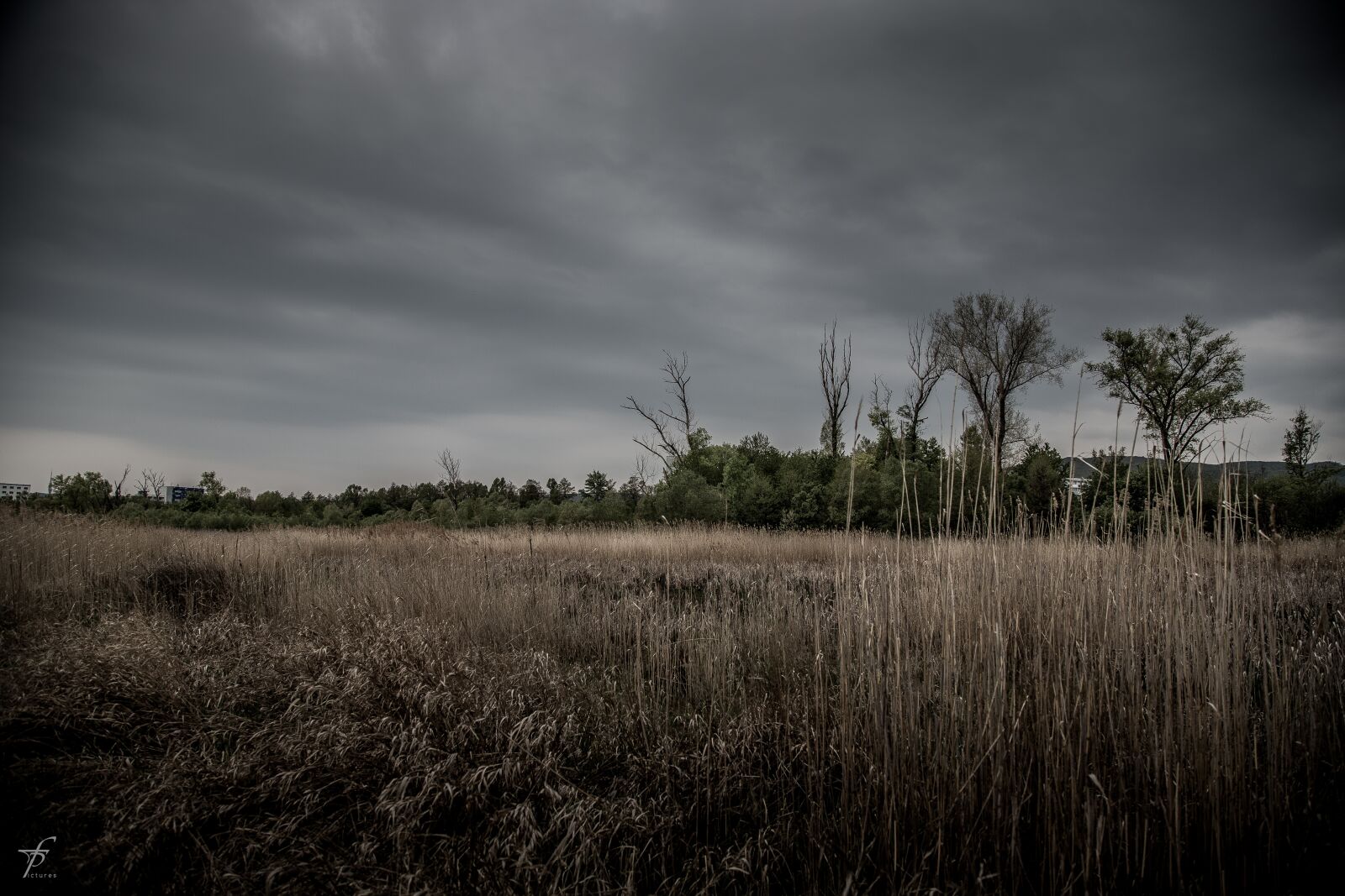 Canon EF 24-105mm F4L IS USM sample photo. Nature, lake, photography photography