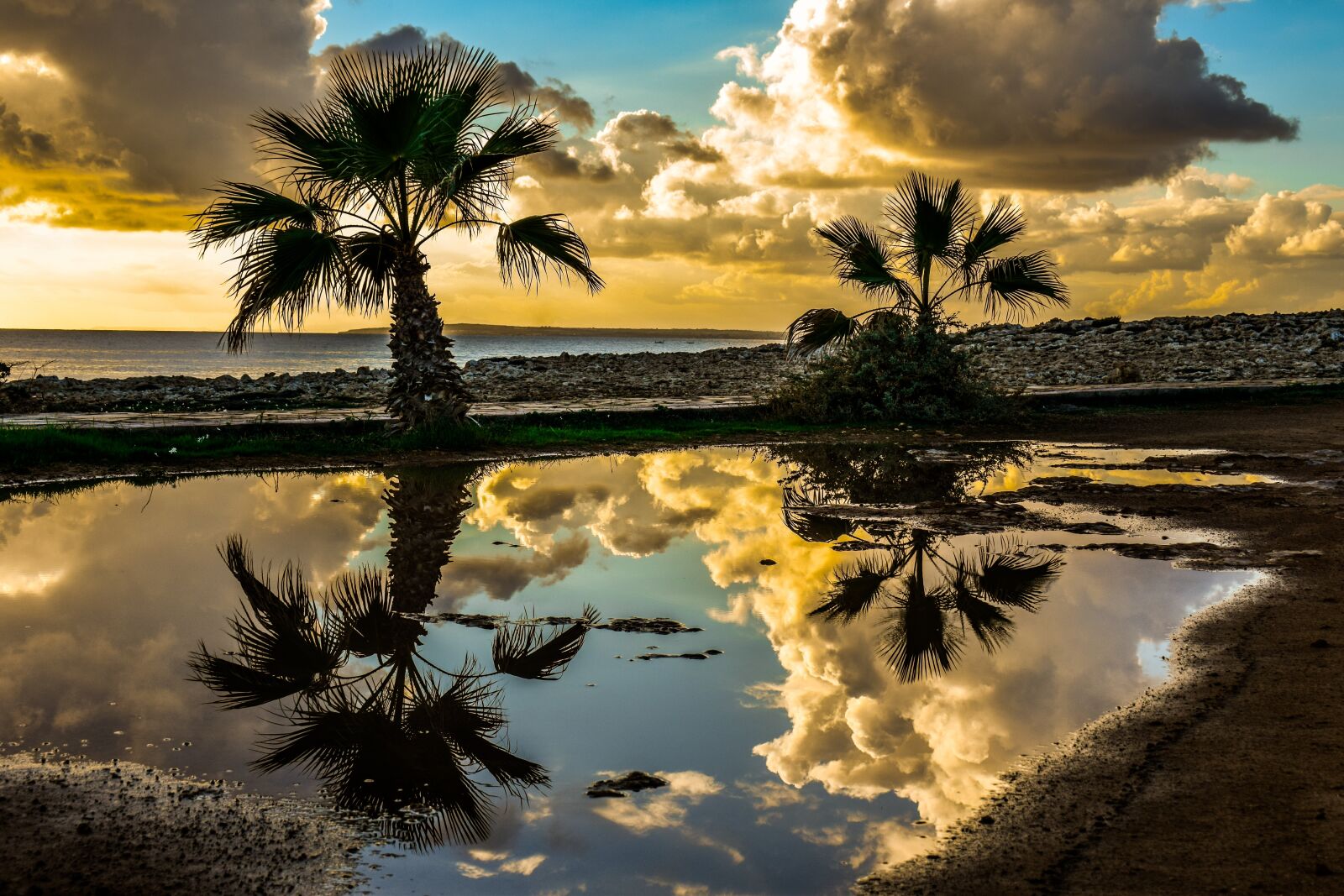 Nikon D3300 sample photo. Palm trees, sky, clouds photography