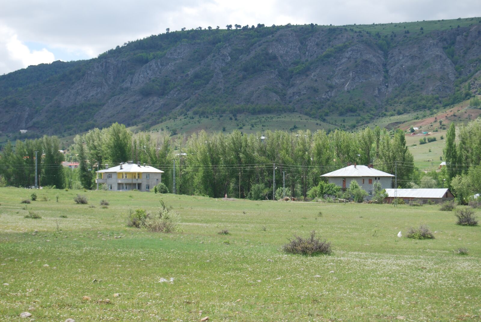 Nikon D60 sample photo. House, tree, cabin photography