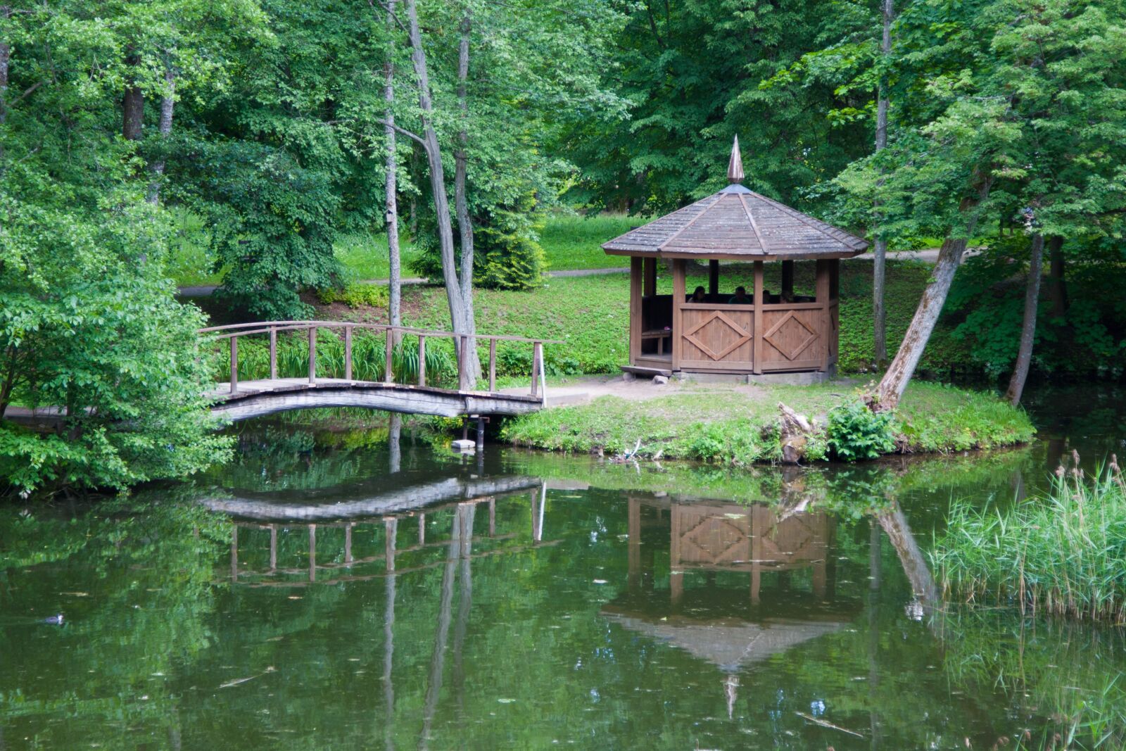 Canon EOS 40D + Canon EF 24-105mm F4L IS USM sample photo. Pond, nature, gazebo photography