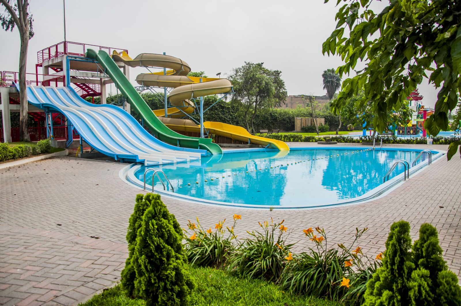 Nikon D90 sample photo. Park, fun, kids photography
