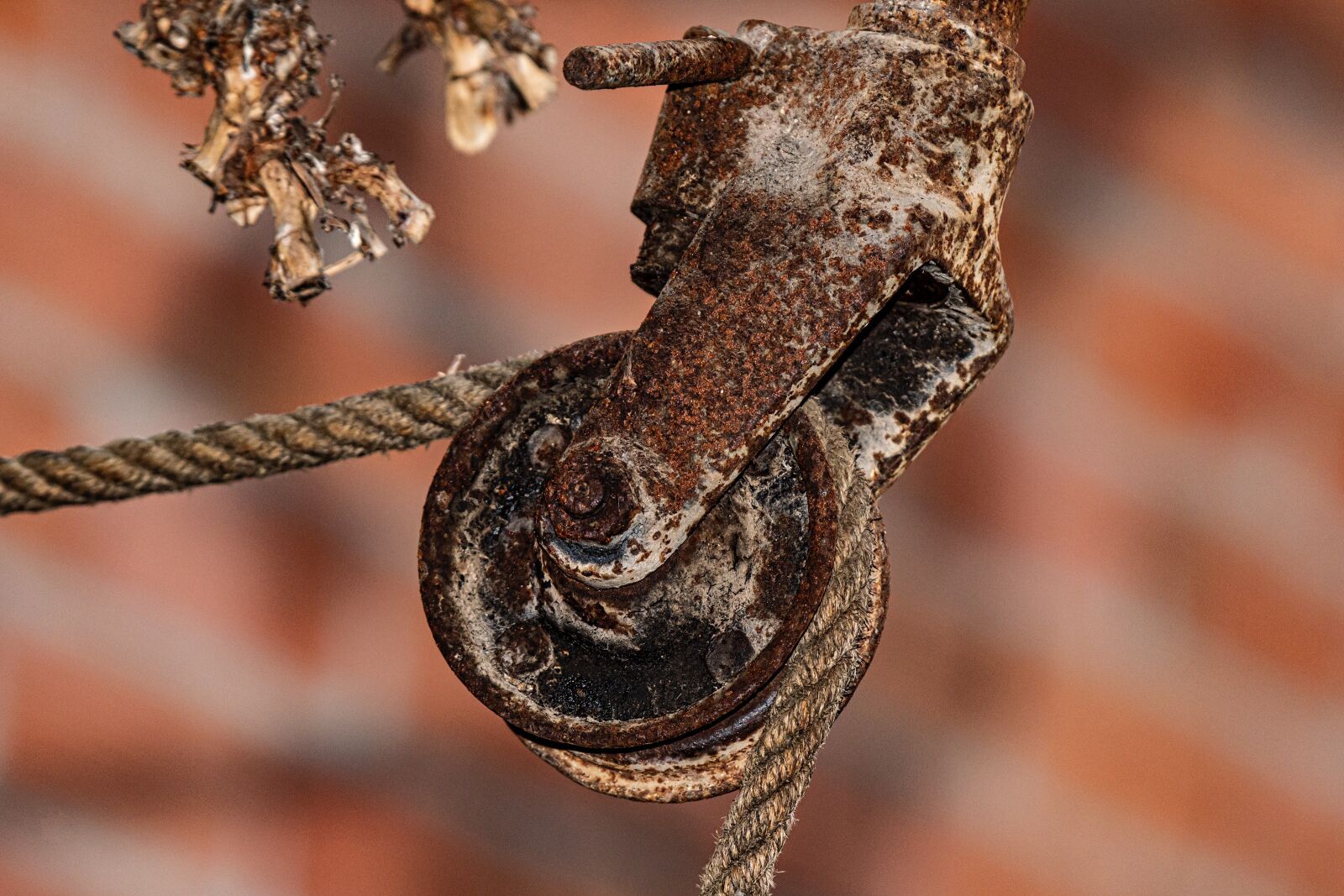 Nikon D810 sample photo. Rural, oxide, iron photography