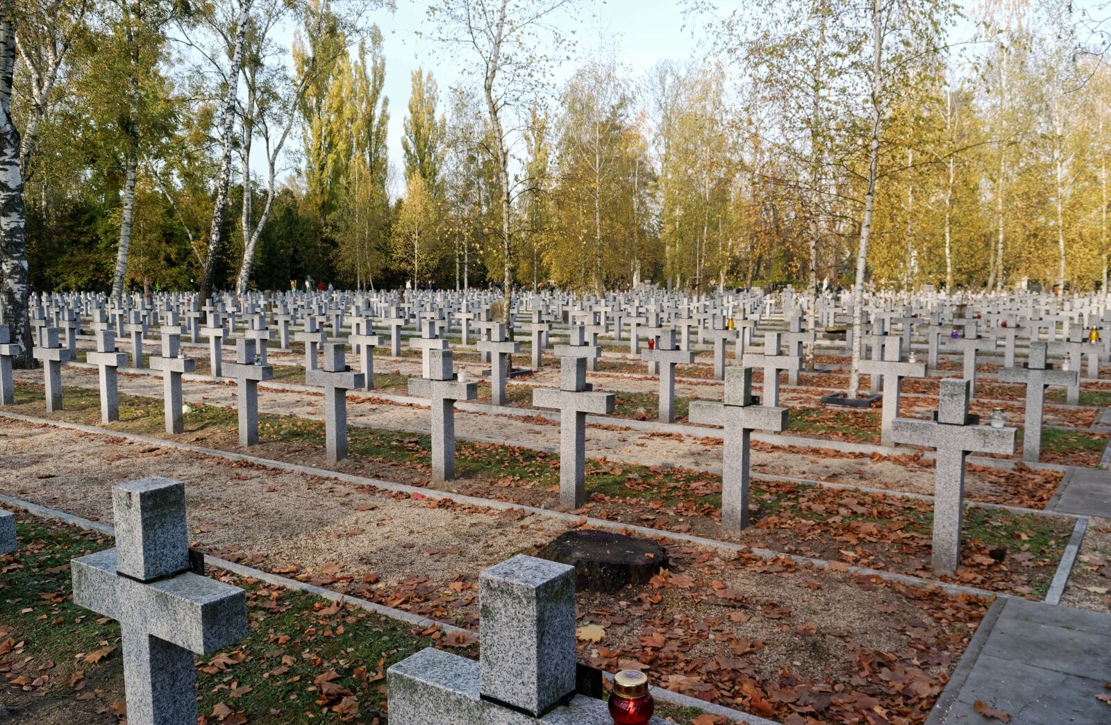 Nikon D3100 sample photo. Graves, cross, lined up photography