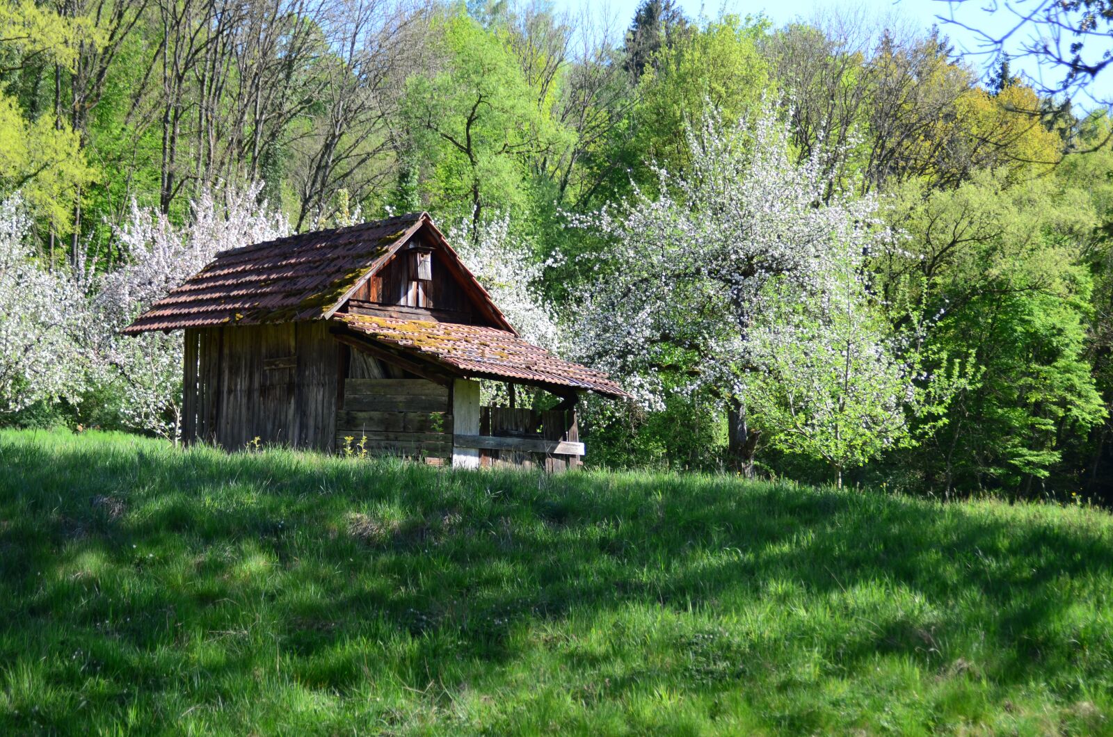 Nikon D7000 sample photo. Log cabin, crockery cottage photography