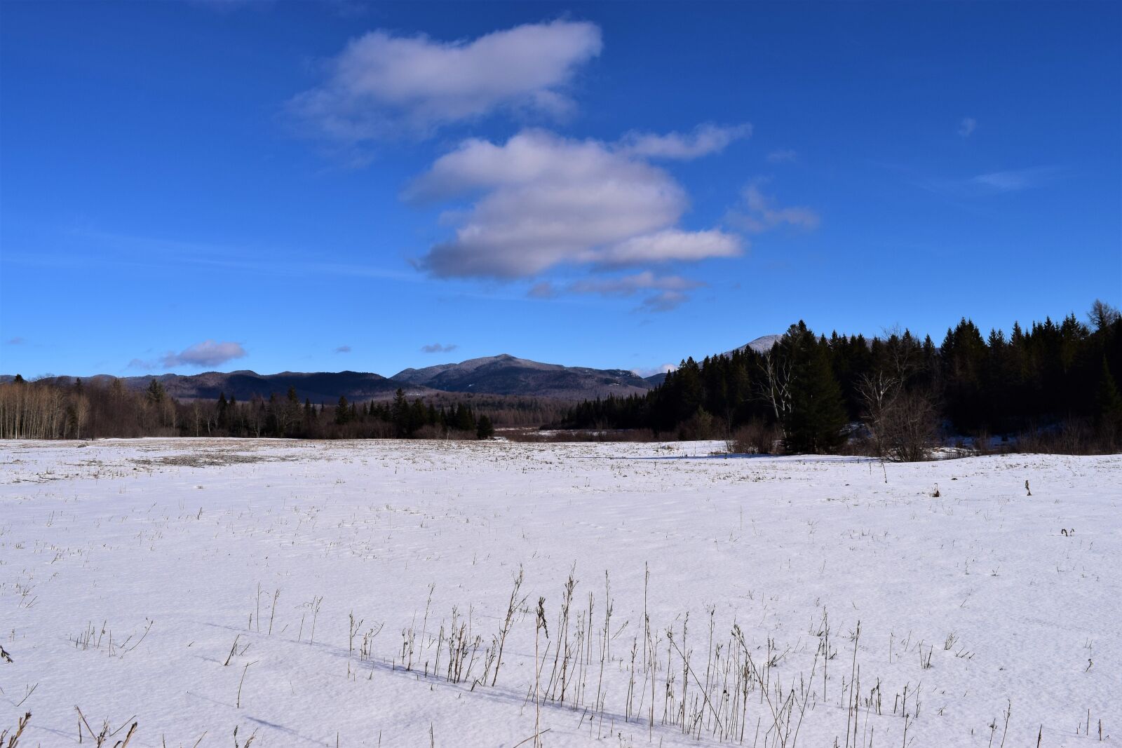Nikon D3300 sample photo. Adirondacks, blue, sky, clouds photography