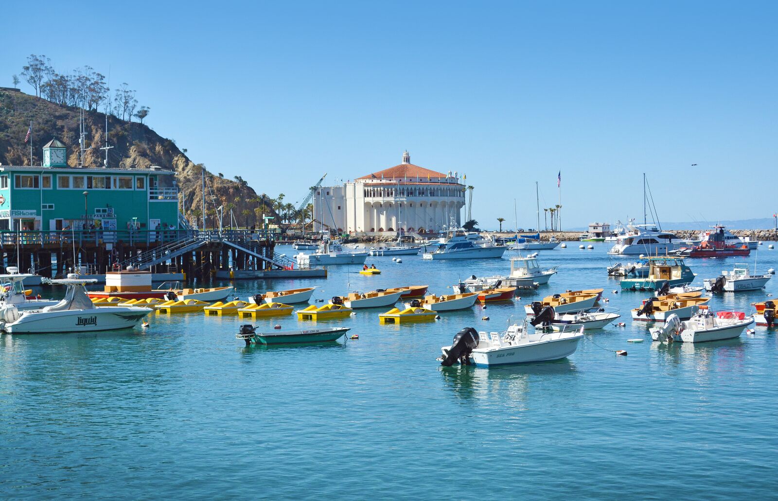 Nikon D5200 sample photo. Catalina, island, boats photography