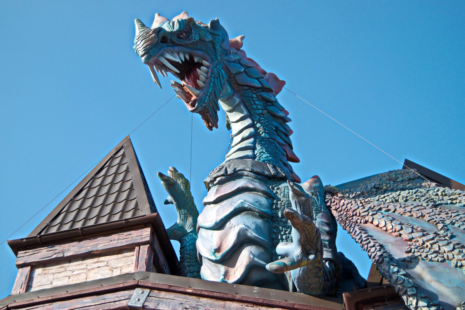 Nikon D5300 sample photo. Figure, dragon, sculpture photography