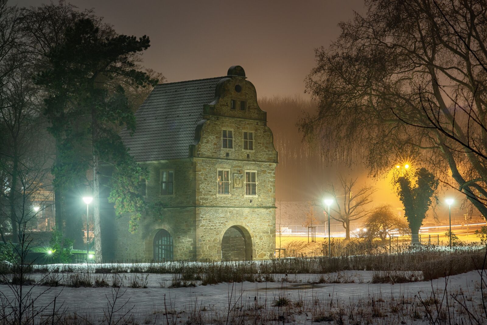 Nikon D600 sample photo. Night, castle, mystical photography