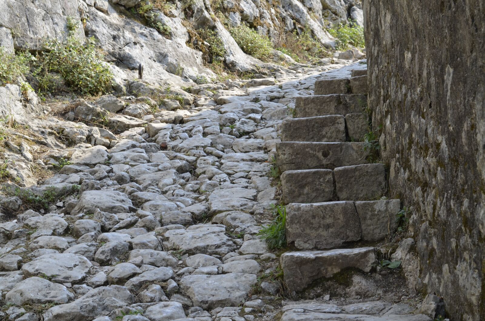 Nikon D5100 sample photo. Kotor, montenegro, fortress photography