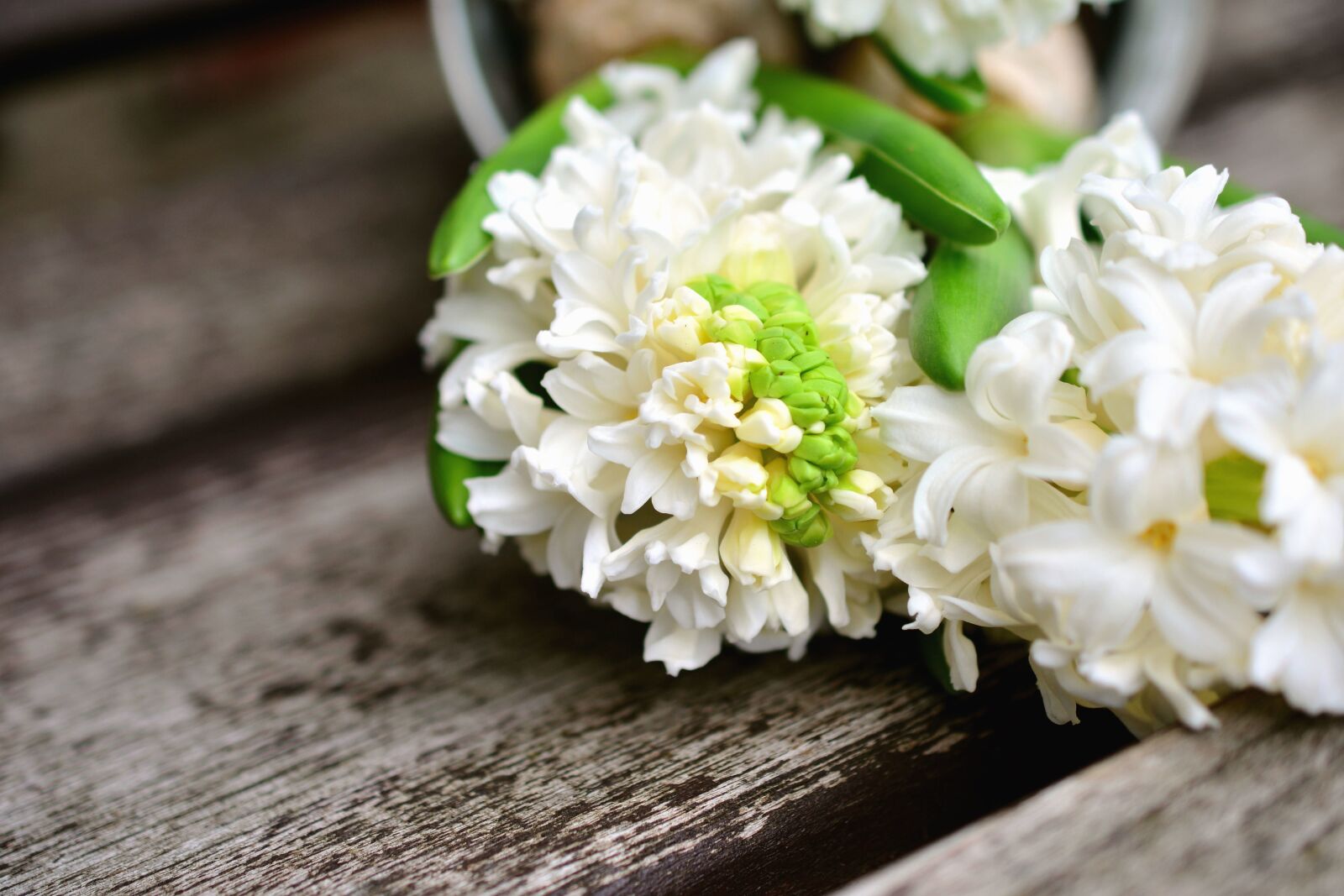 Nikon D5200 sample photo. Flower, petal, plant, surface photography