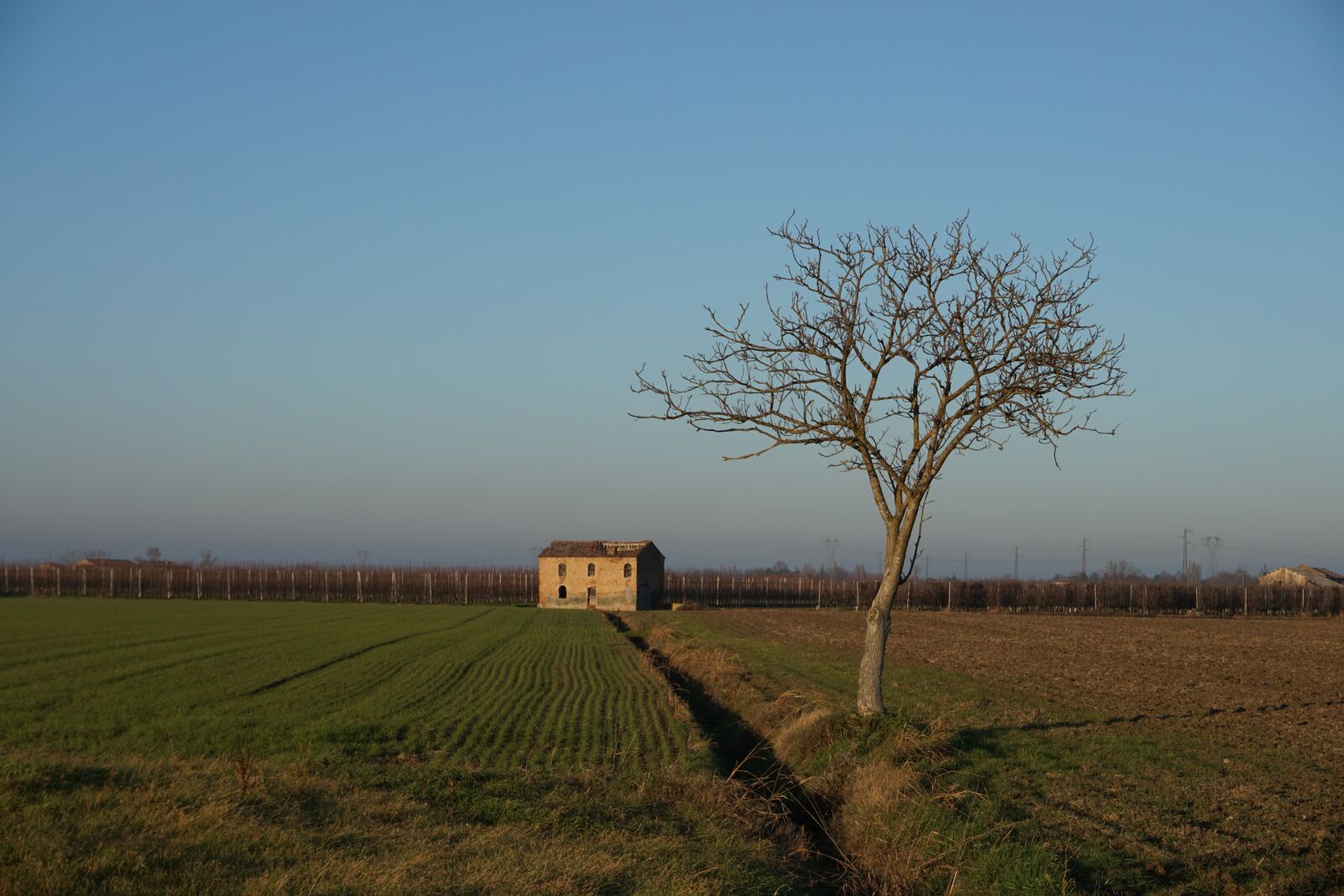 Sony E 16-50mm F3.5-5.6 PZ OSS sample photo. Landscape, field, tree photography