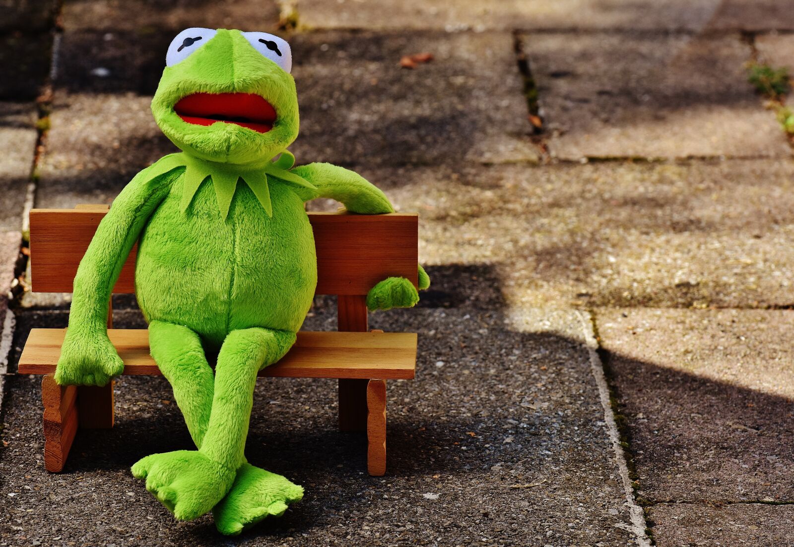 Nikon D7200 sample photo. Kermit, frog, bank photography