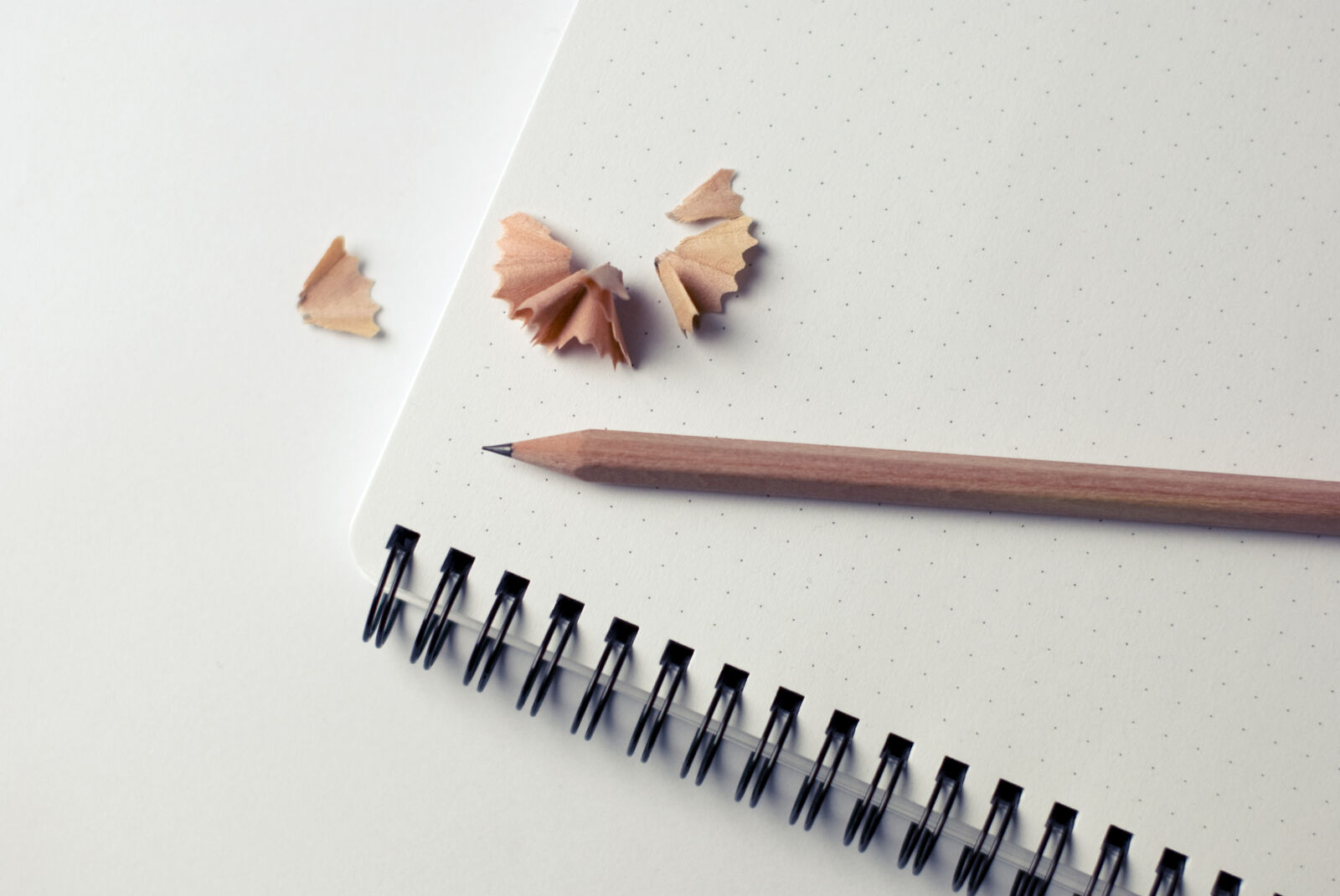 Nikon D60 sample photo. Brown, pencil, on, white photography