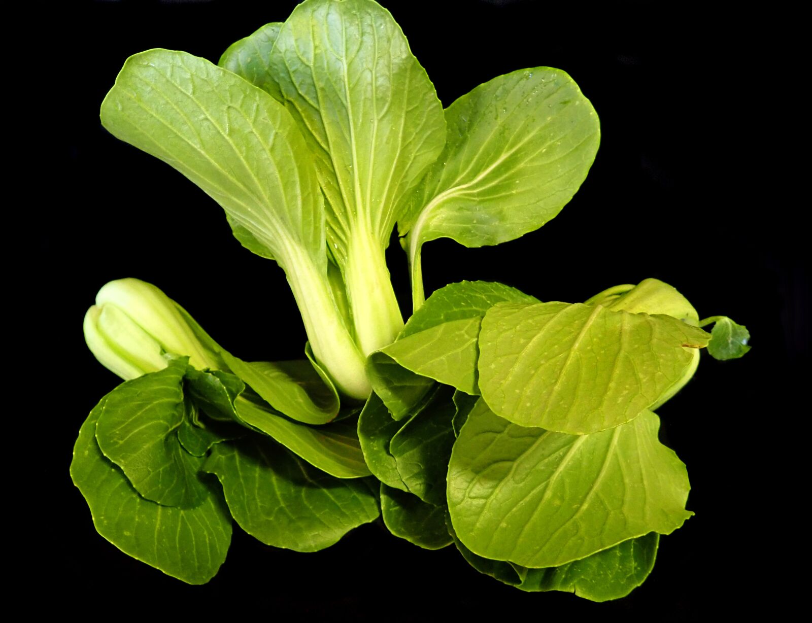 Olympus TG-5 sample photo. Vegetables, asian greens, healthy photography