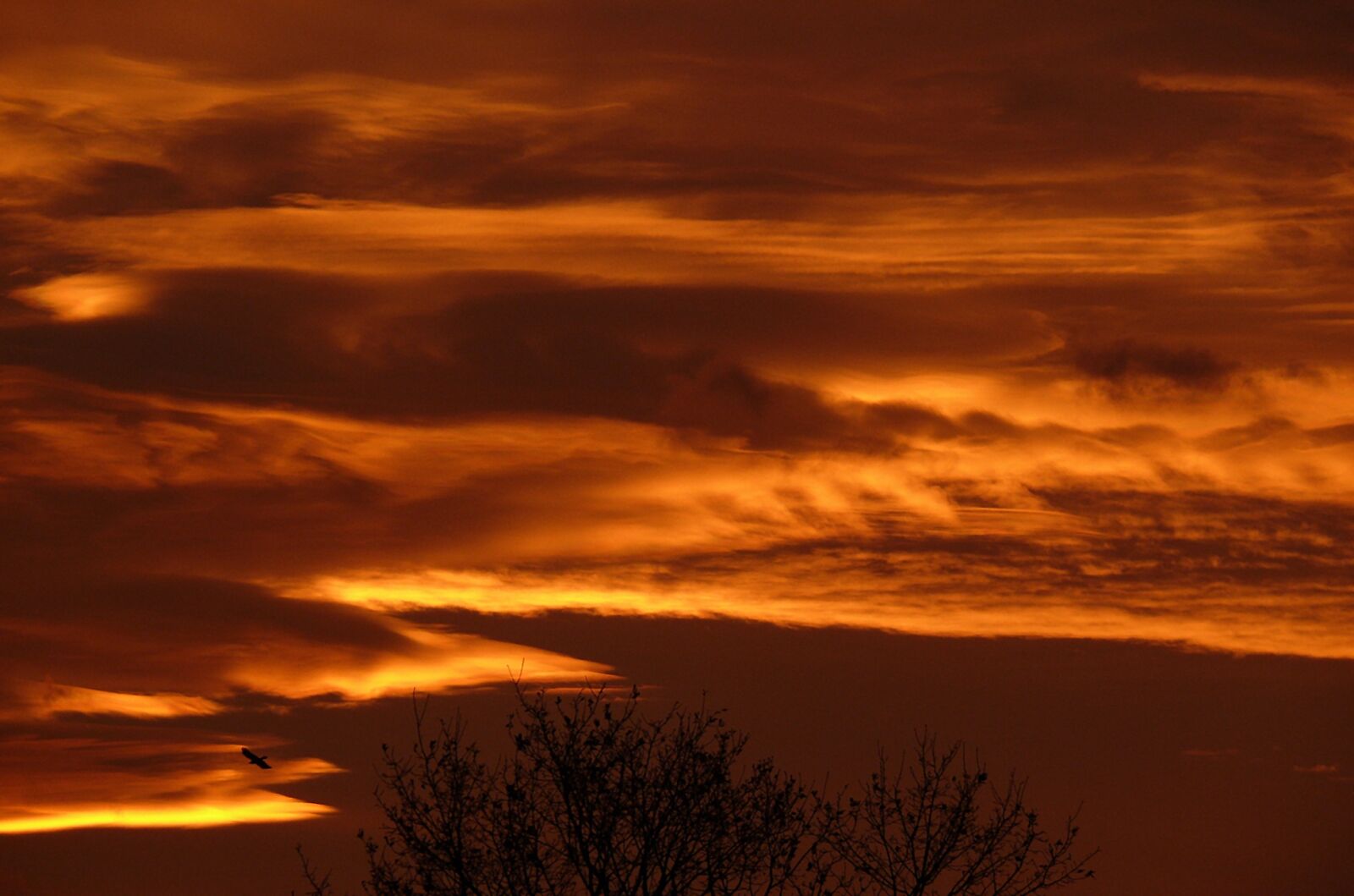 Leica V-LUX 1 sample photo. Afterglow, sunset, evening sky photography