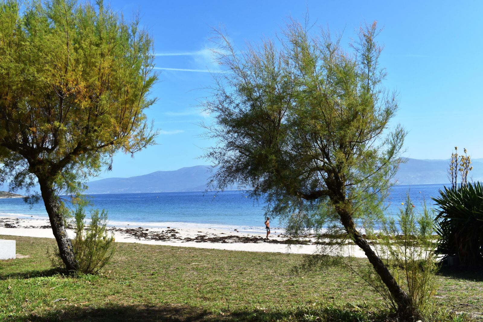 Nikon D5600 sample photo. Beach, sea, sand photography