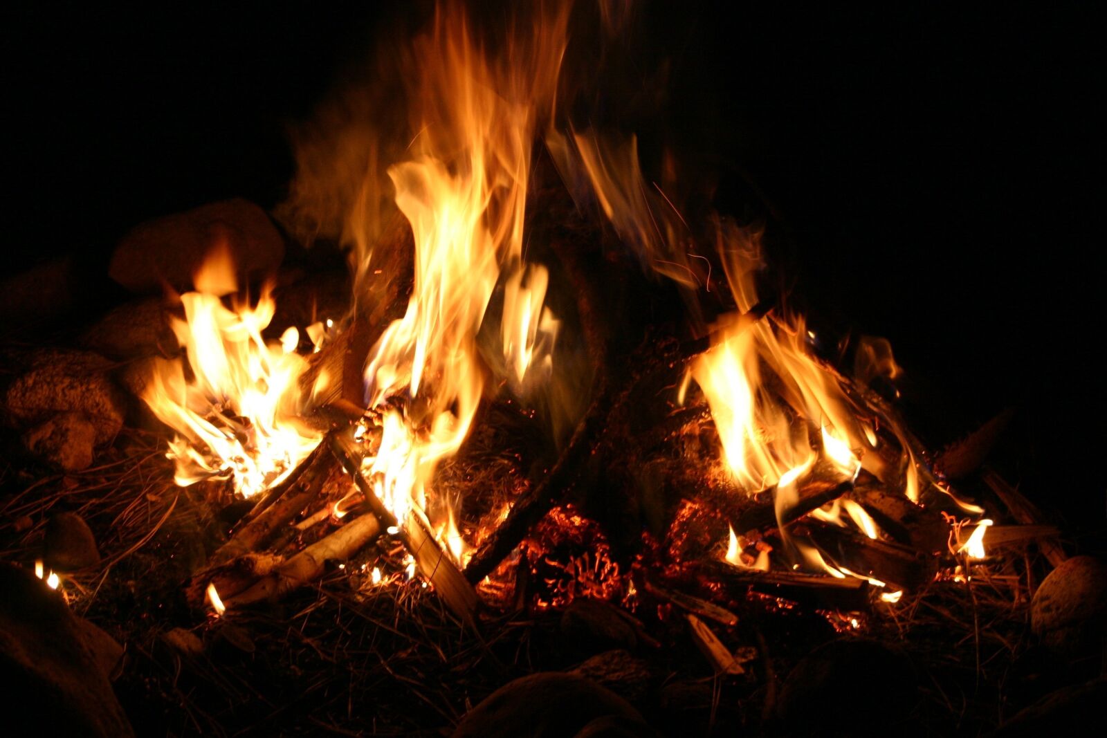 Canon EOS 300D (EOS Digital Rebel / EOS Kiss Digital) sample photo. Camp fire, fire, flame photography