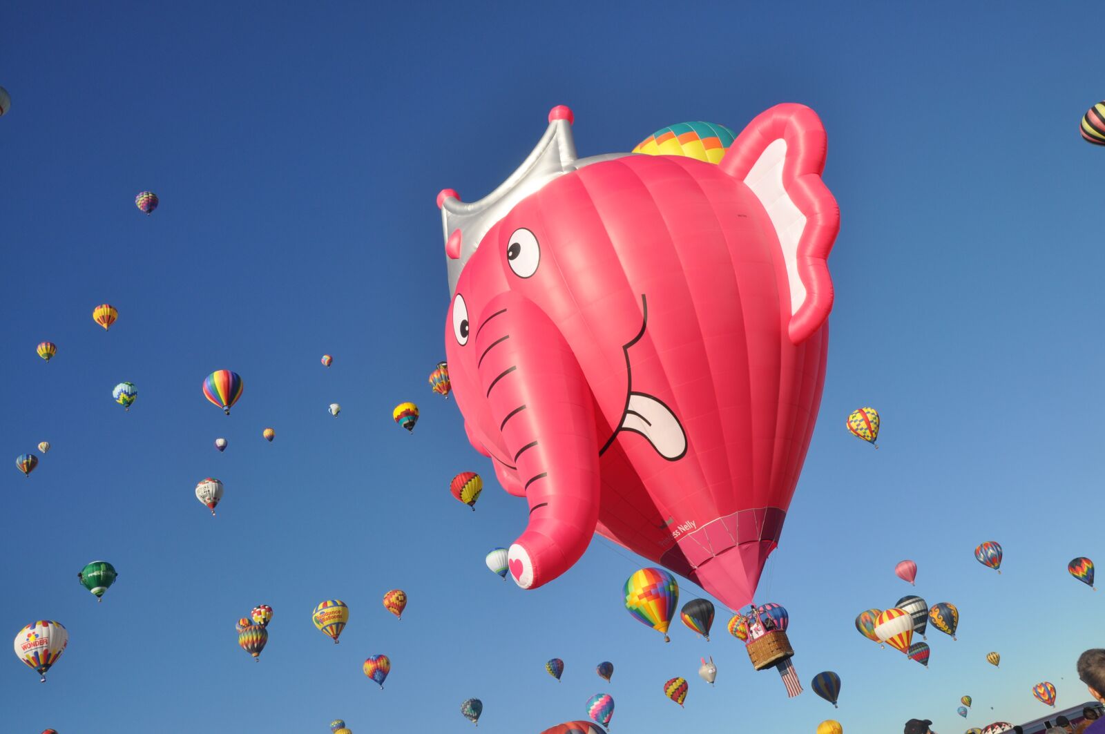 Nikon D90 sample photo. Sky, balloon, air photography