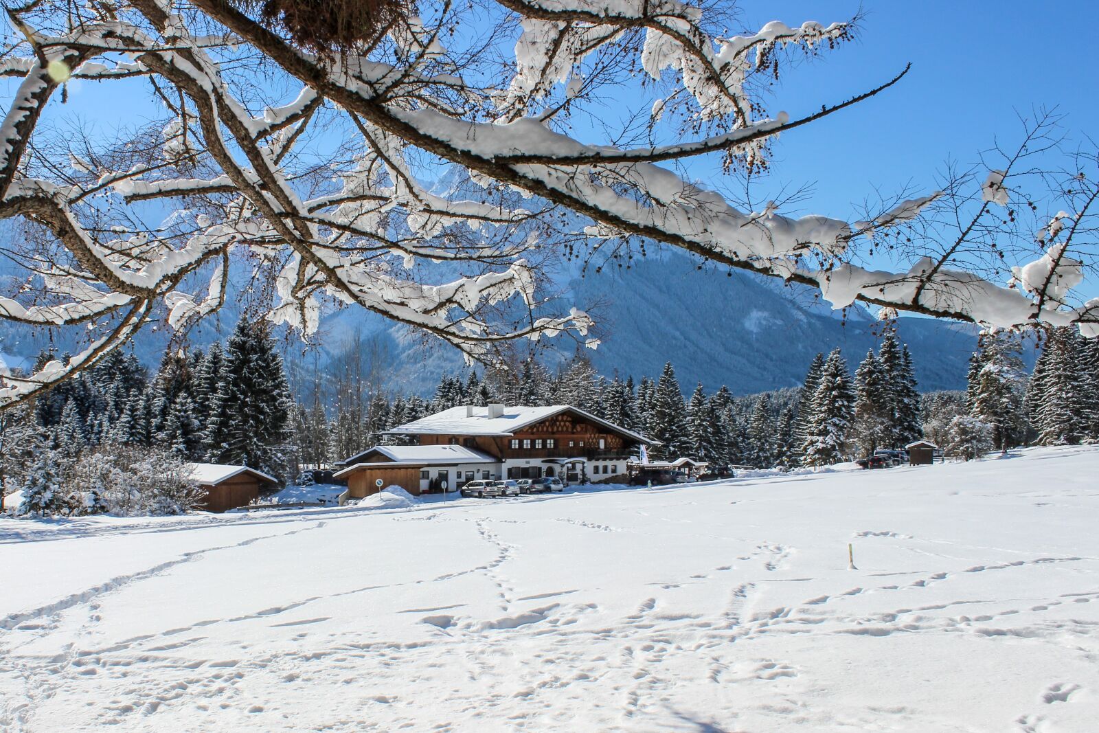 Canon EOS 600D (Rebel EOS T3i / EOS Kiss X5) sample photo. Alm, alpine, alpspitze photography