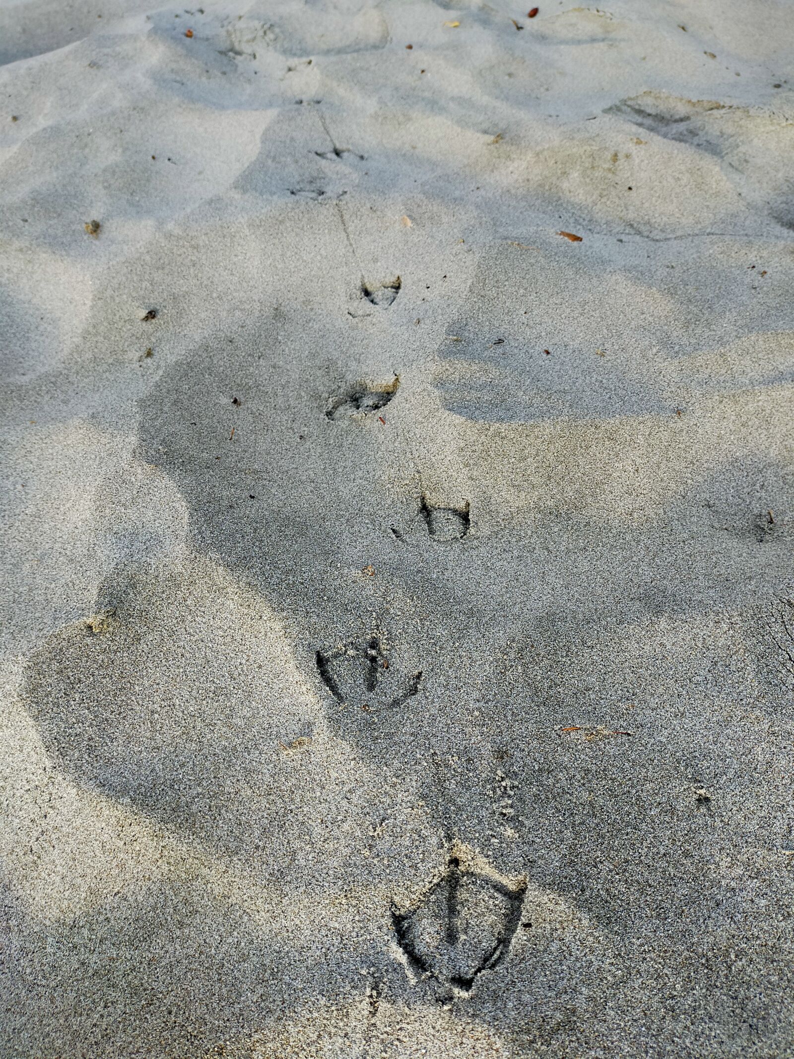 OPPO A9 2020 sample photo. Sand, beach, coast photography