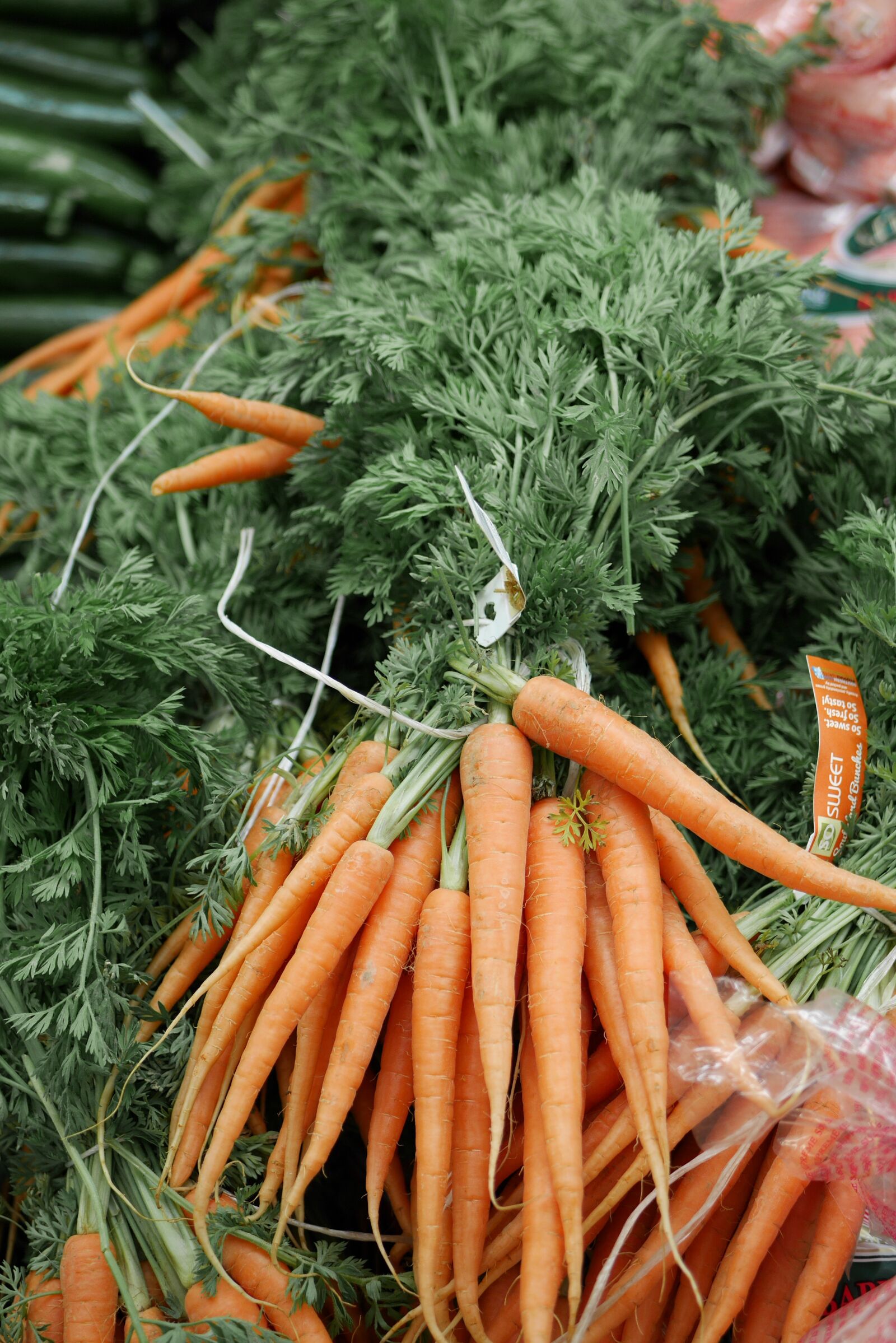 Panasonic Lumix DMC-GF7 sample photo. Carrots, new, zealand photography