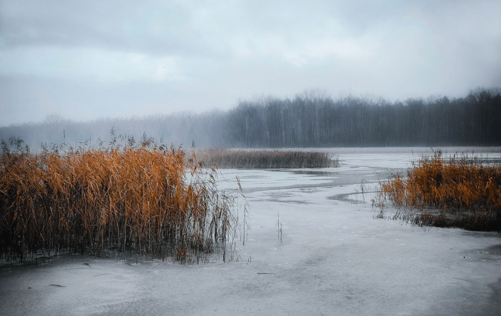 Nikon D60 sample photo. Cold, ice, winter photography