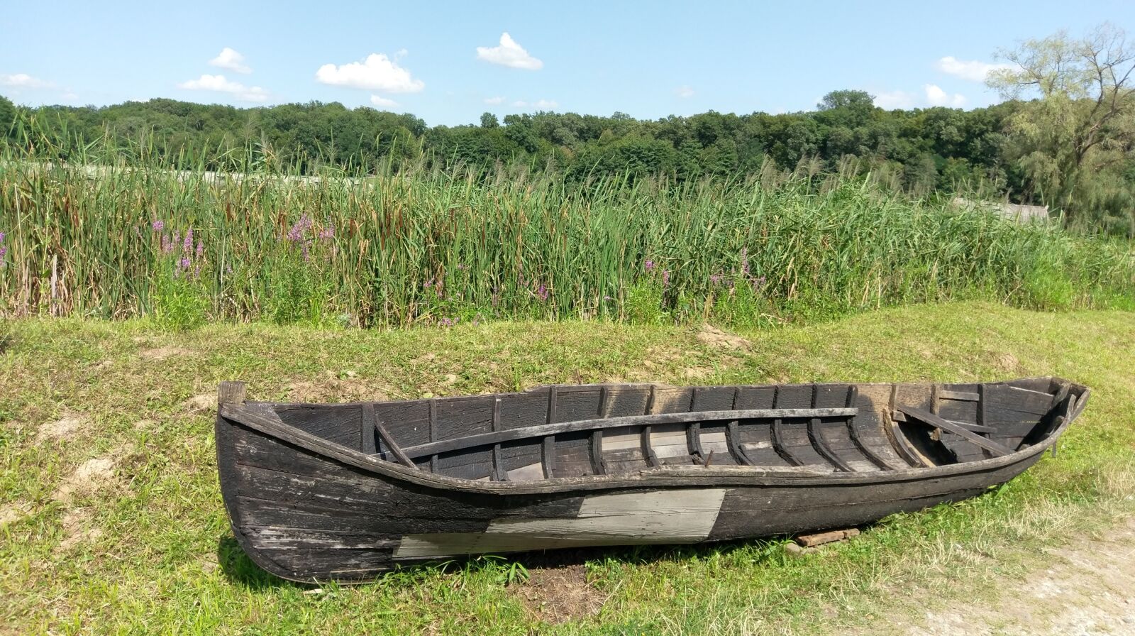 HTC 10 sample photo. Wreck, boat, grass photography