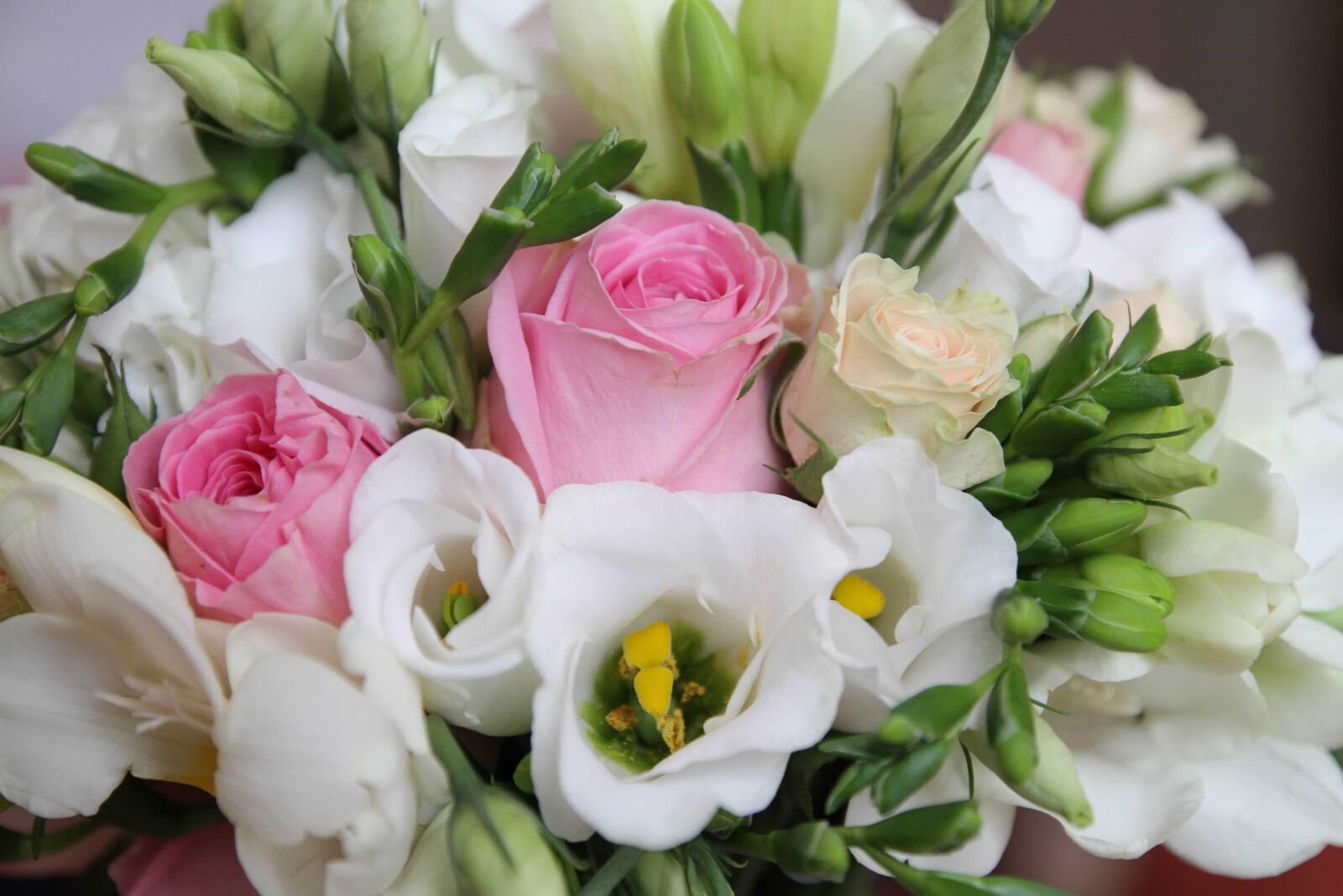 Canon EOS 7D sample photo. Bouquet, pastel, roses, white photography