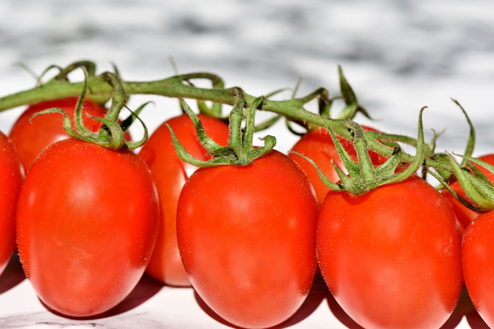 Nikon D7200 sample photo. Tomatoes, trusses, bush tomatoes photography