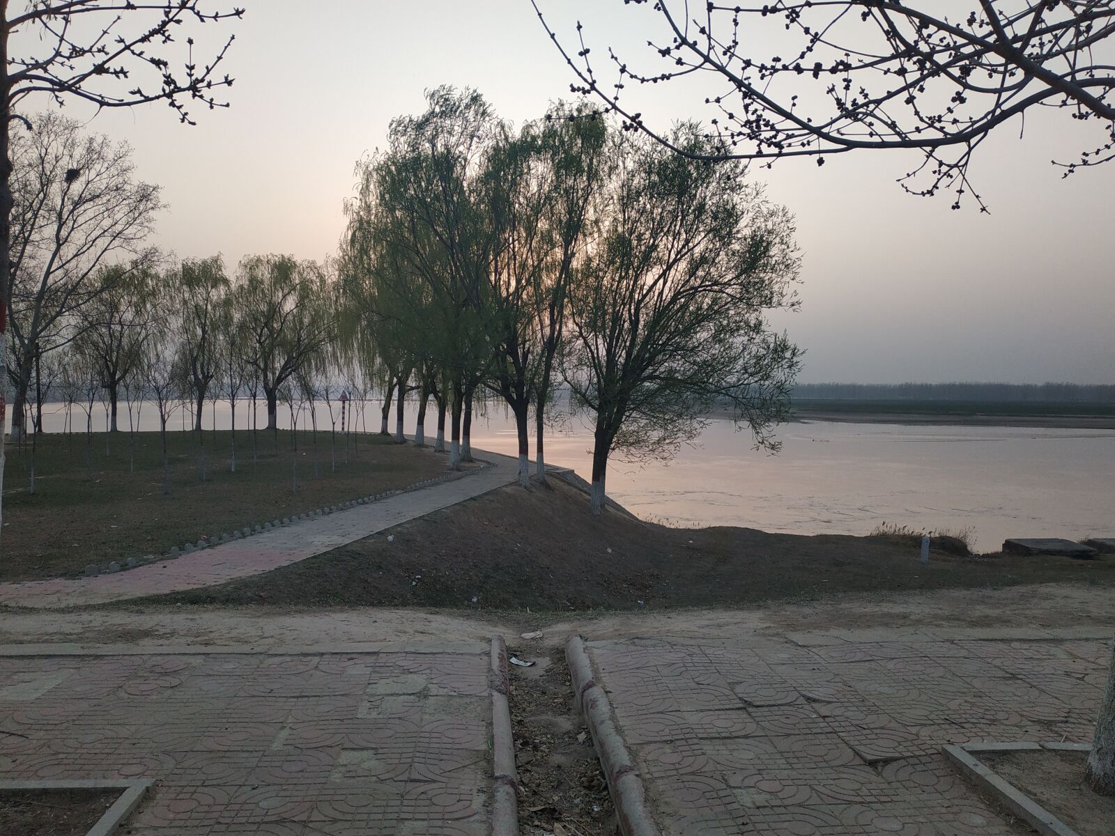 Xiaomi Redmi Note 5 sample photo. Grove, beach, yellow river photography