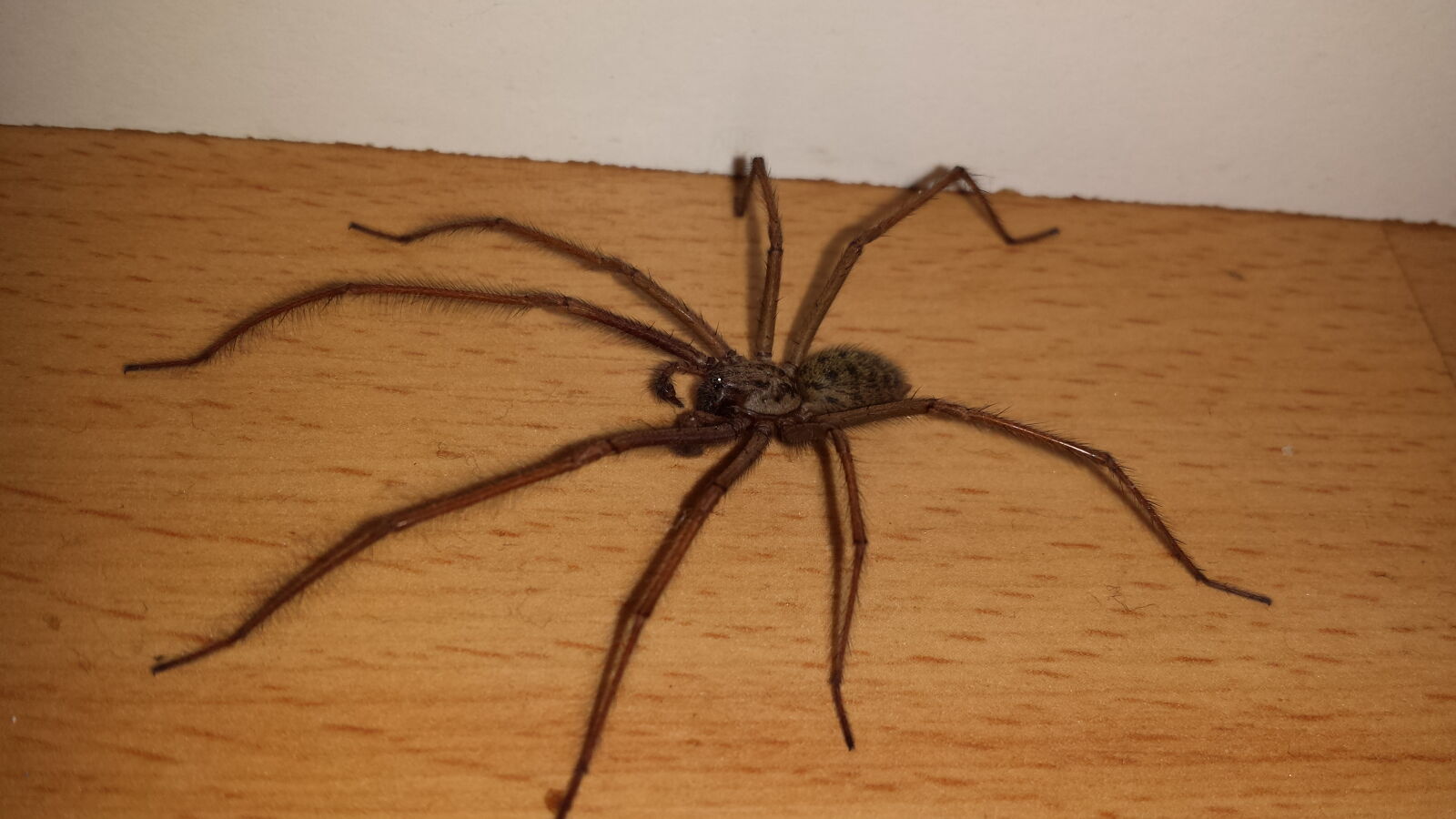 Samsung Galaxy S4 sample photo